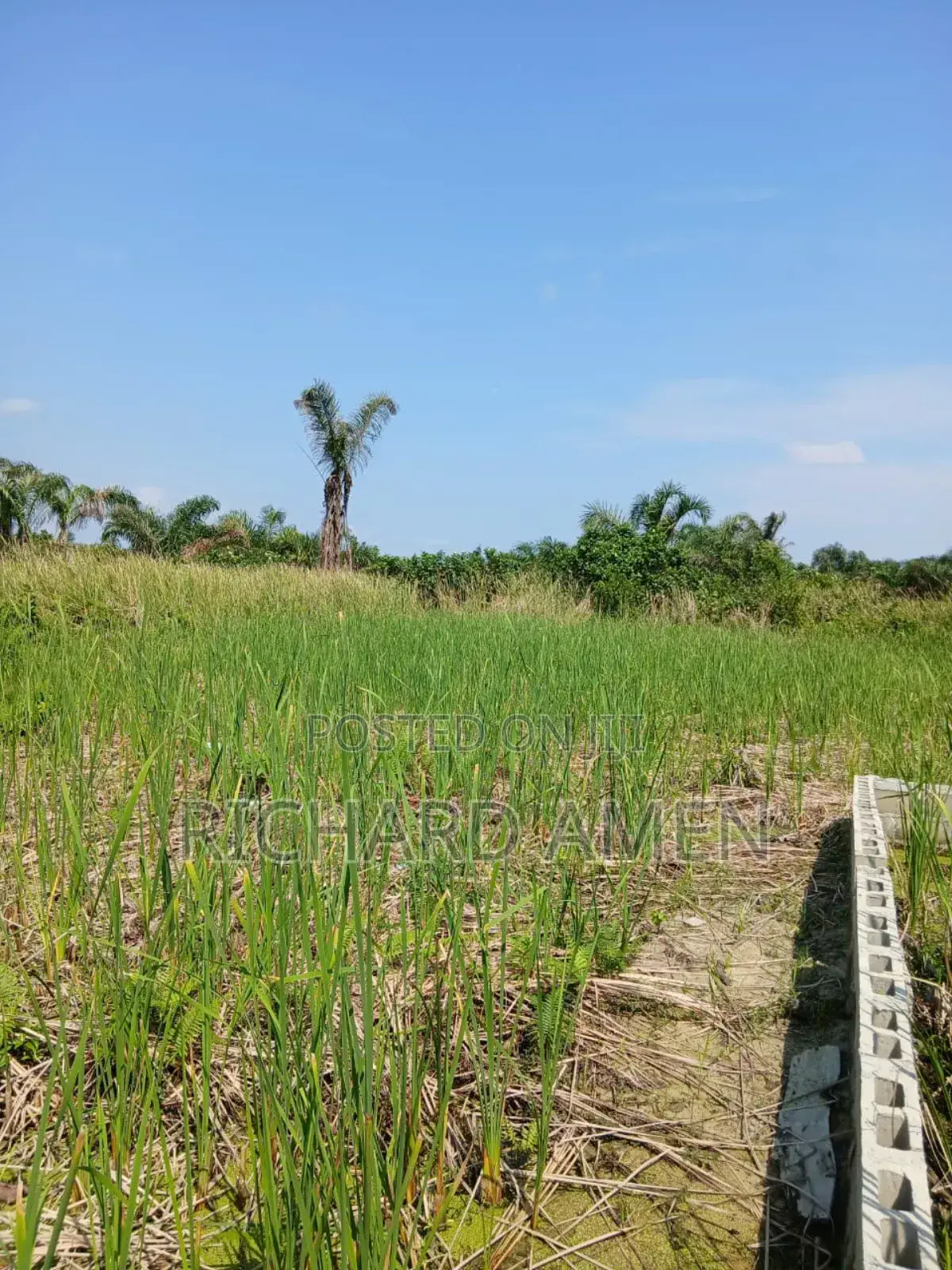 2 and Half Plot of Land Distress Sale in Sangotedo