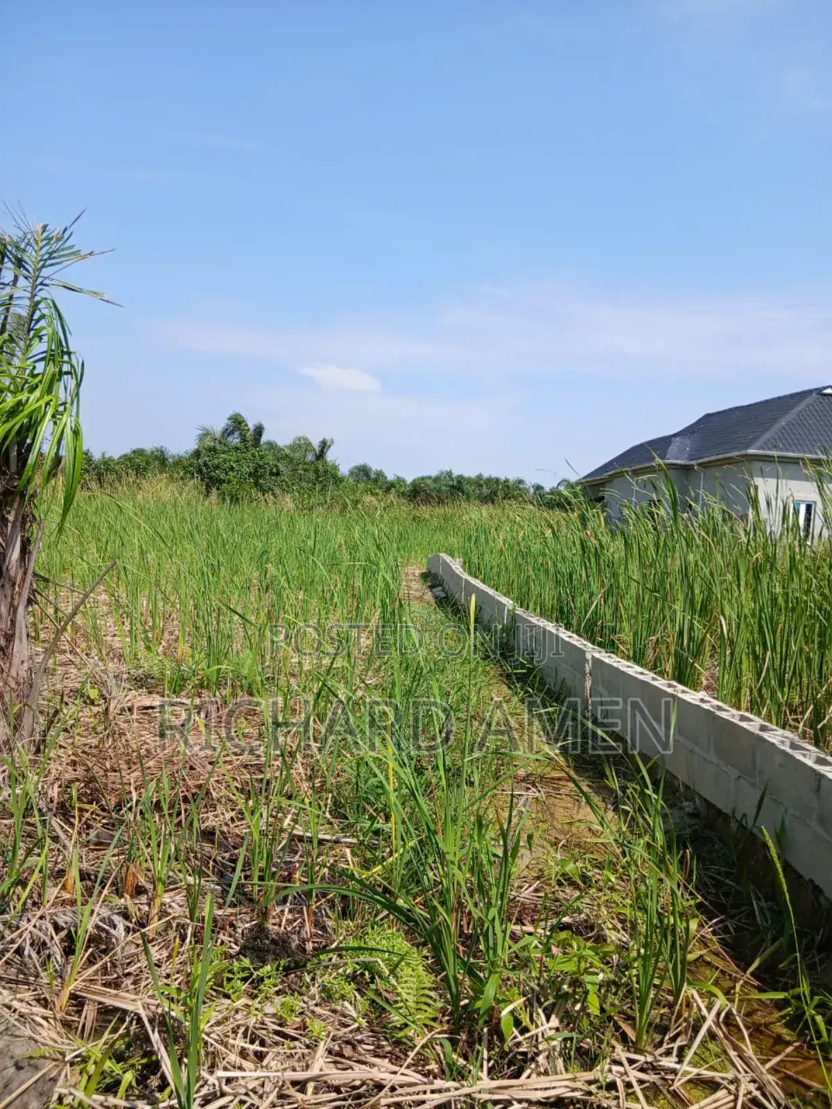 2 and Half Plot of Land Distress Sale in Sangotedo