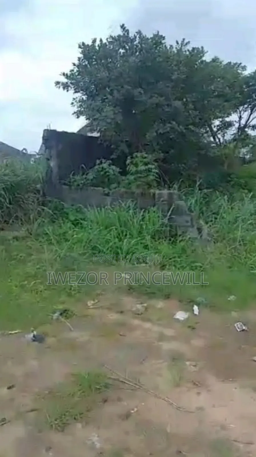 6 Plots of Land Along Major Eneka/Igwuruta Express Road in Obio-Akpor
