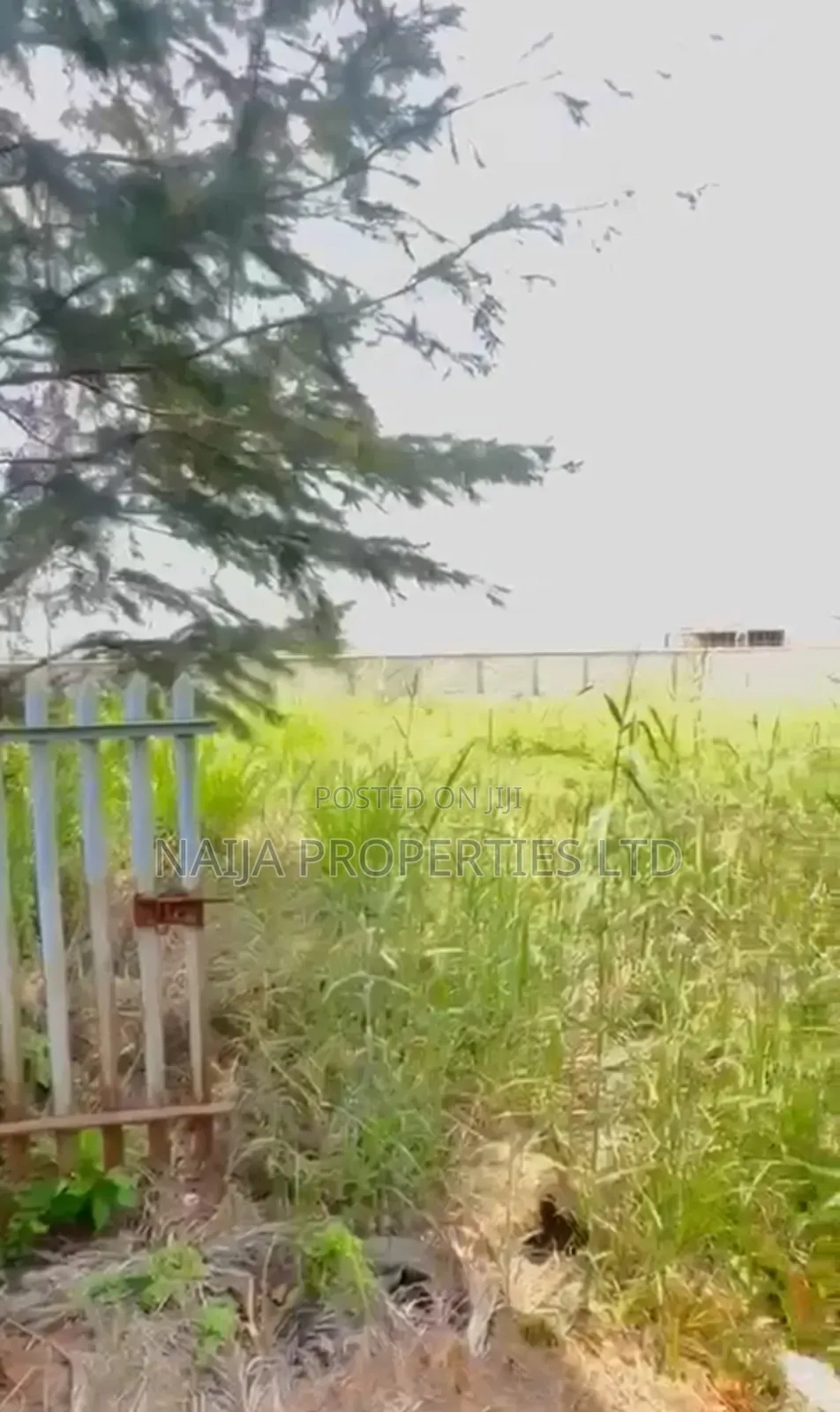 1000sqm of Land at Banana Island, Ikoyi for Sale in Ikoyi