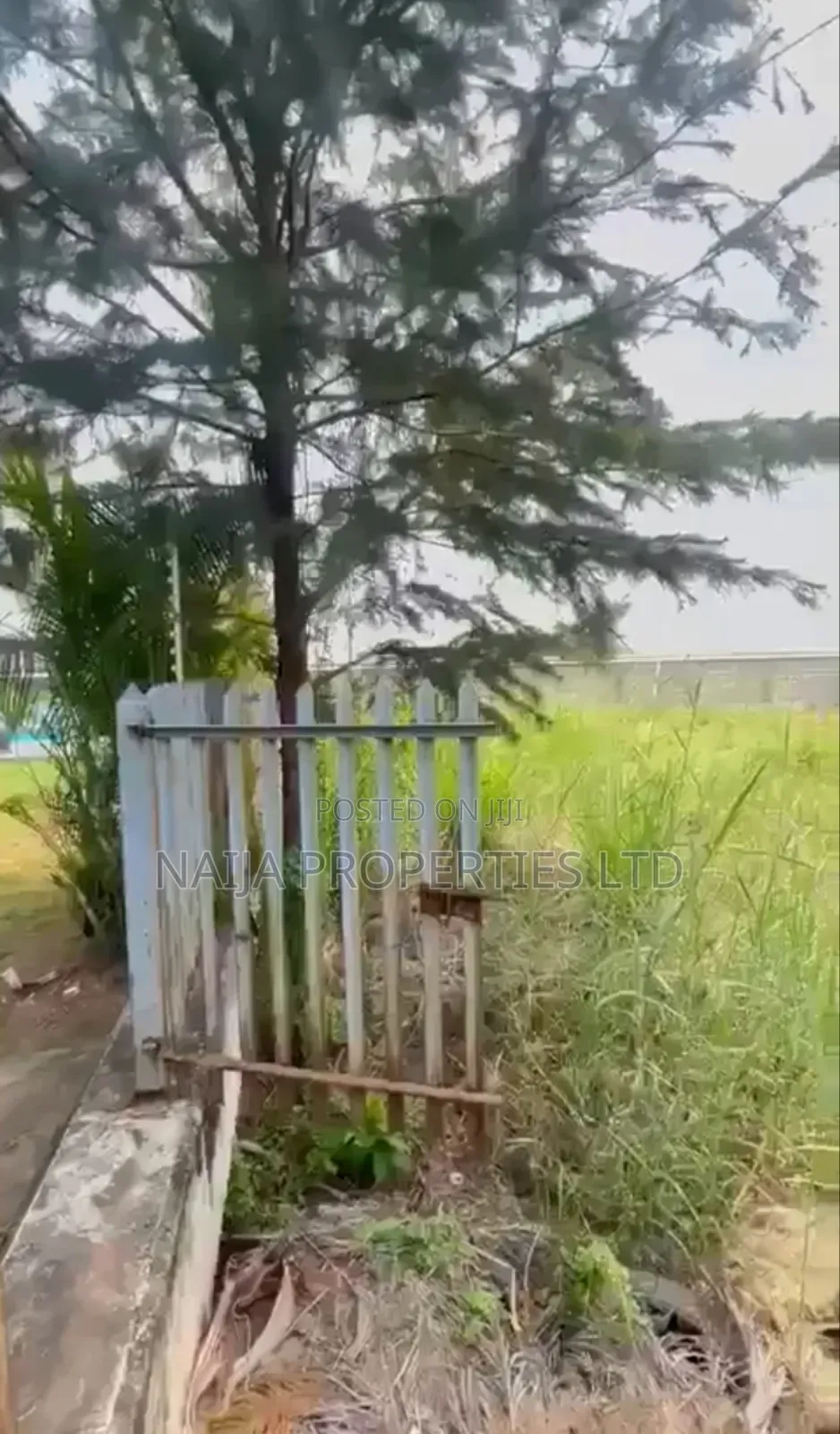 1000sqm of Land at Banana Island, Ikoyi for Sale in Ikoyi