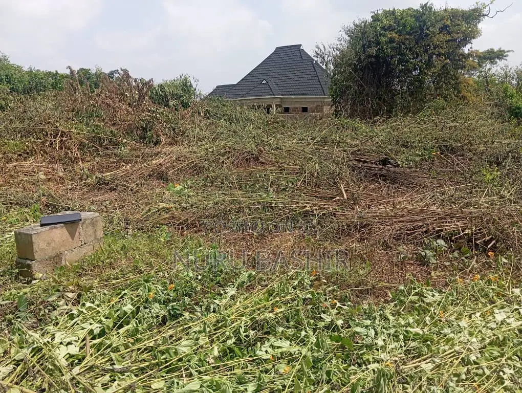 One and Half Plot of Land in Akala Express