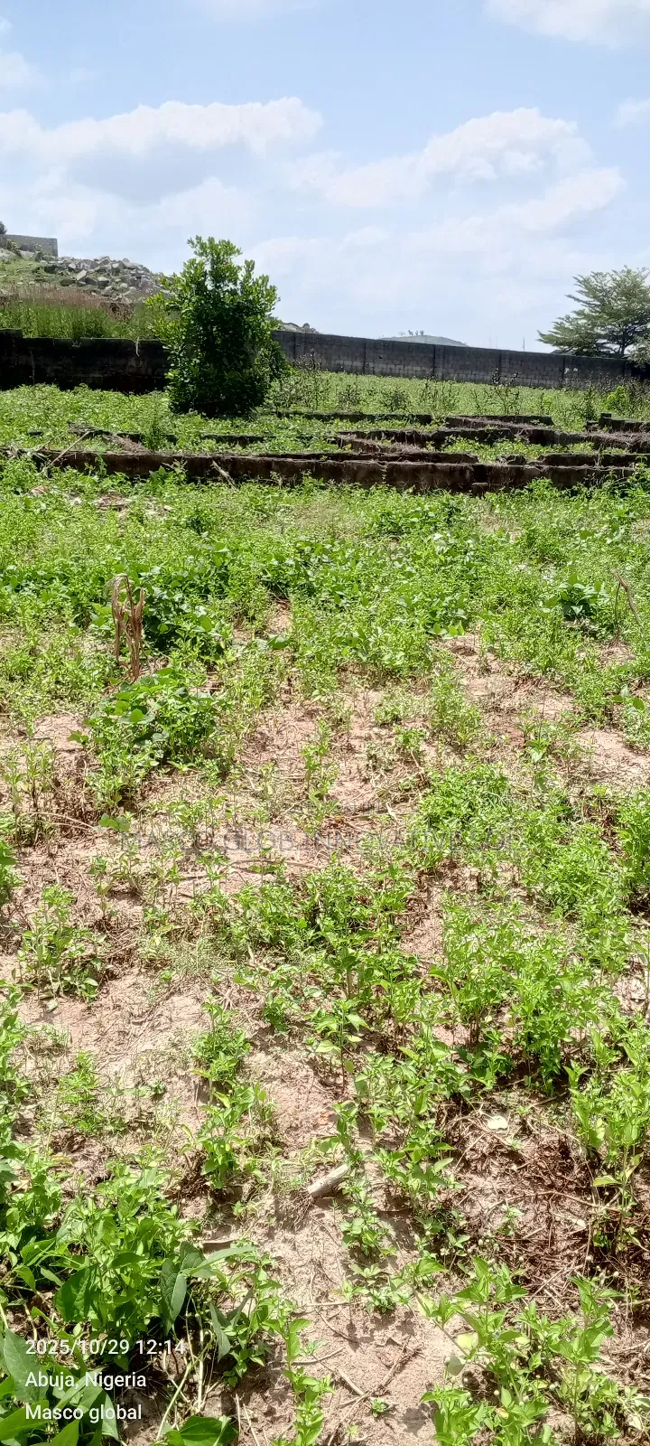 3000sqm Residential Plot for Sale in Airport Road Abuja in Sabon Lugbe