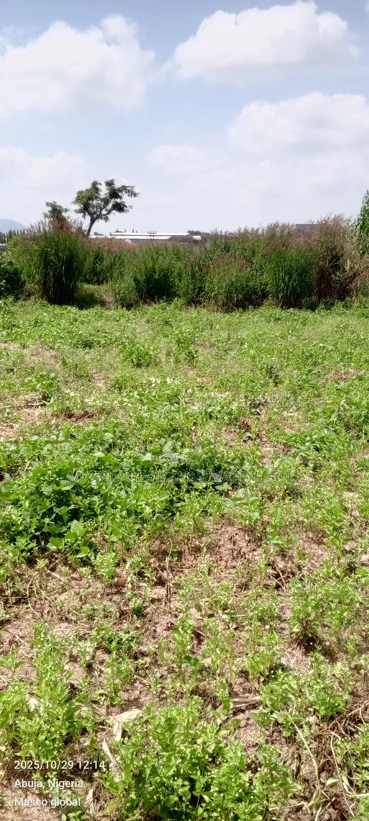 3000sqm Residential Plot for Sale in Airport Road Abuja in Sabon Lugbe