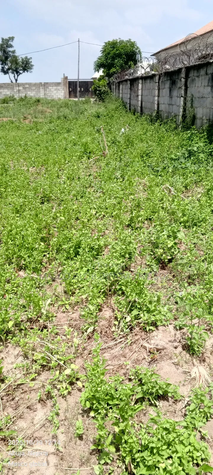 3000sqm Residential Plot for Sale in Airport Road Abuja in Sabon Lugbe