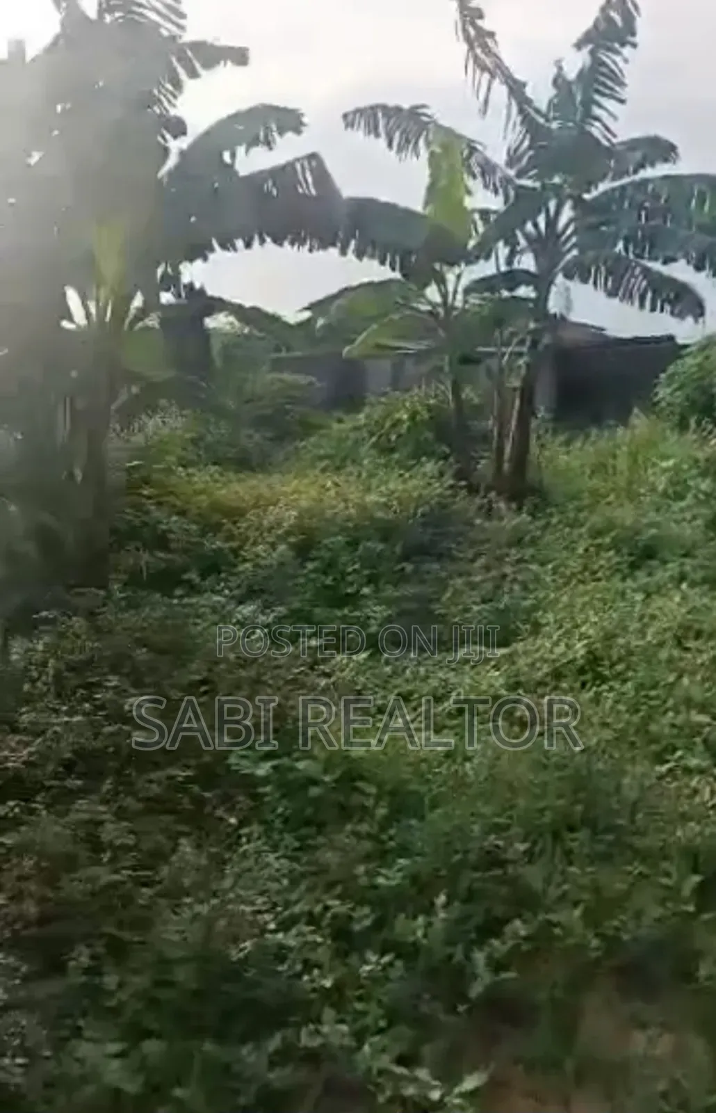 1000sqm Perfect for Any Commercial or Residential Use at Ishefun Ayobo in Ayobo
