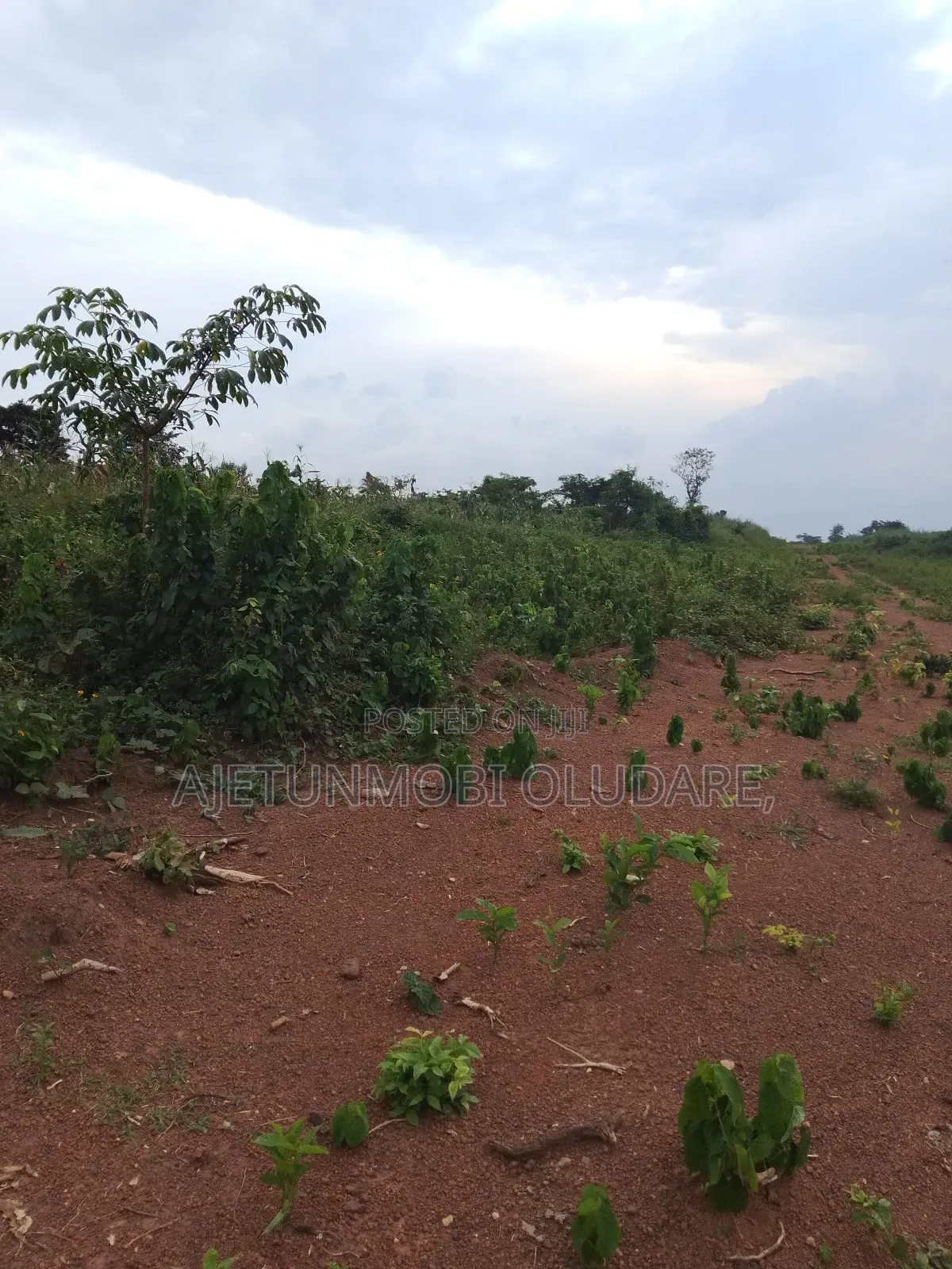 Farm Land and Plots for Sale in Ado Ekiti