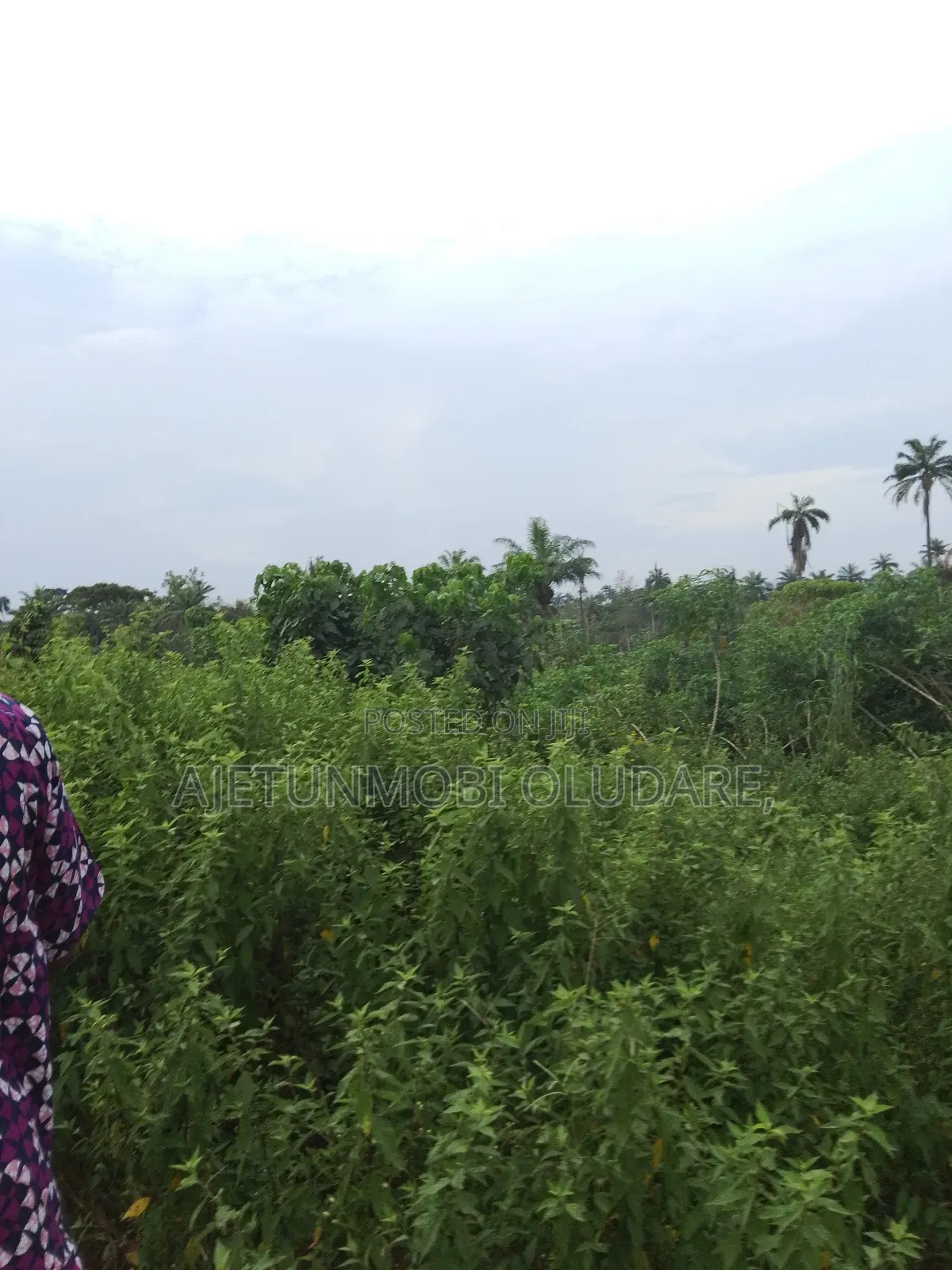 Farm Land and Plots for Sale in Ado Ekiti