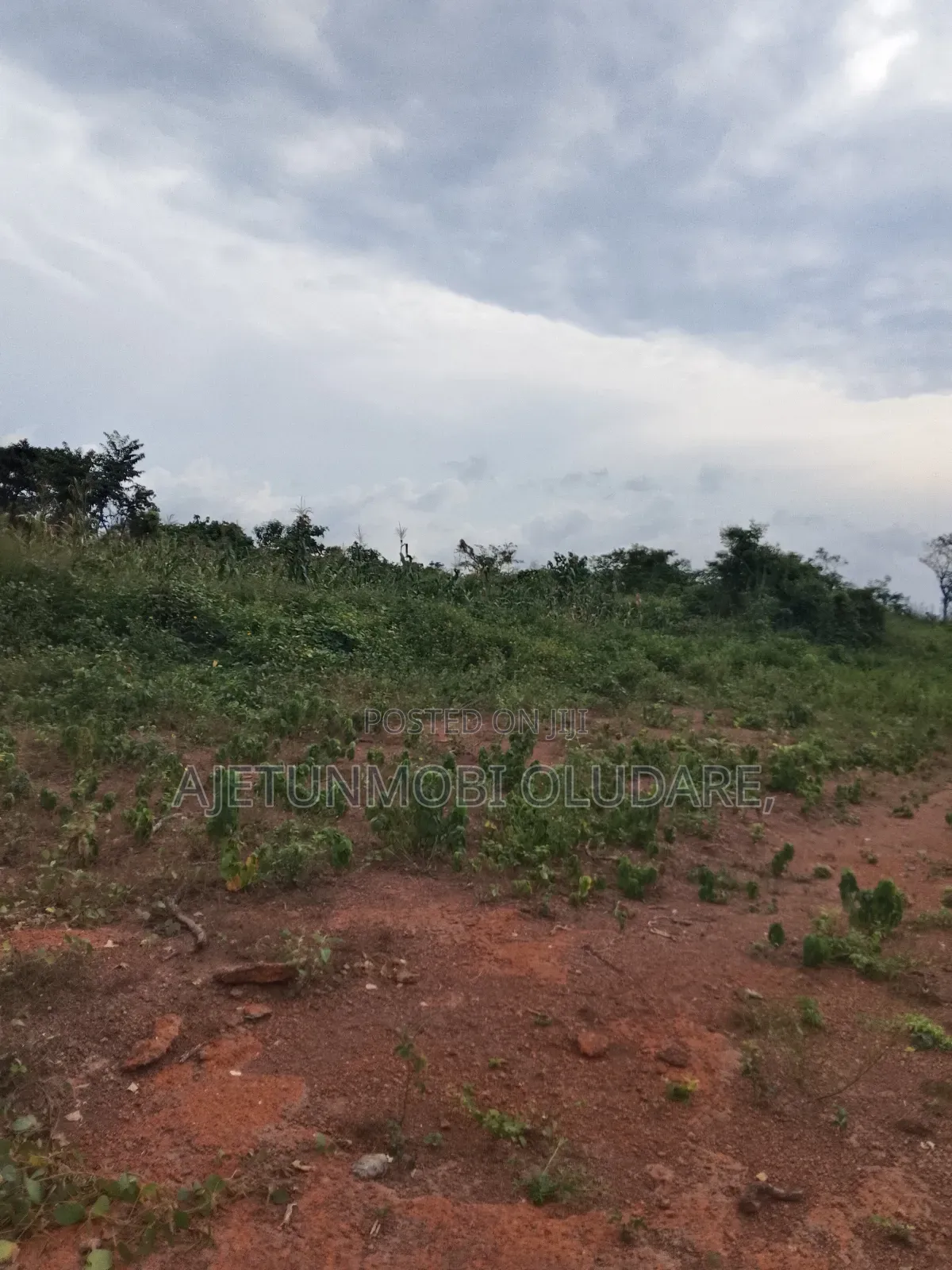 Farm Land and Plots for Sale in Ado Ekiti