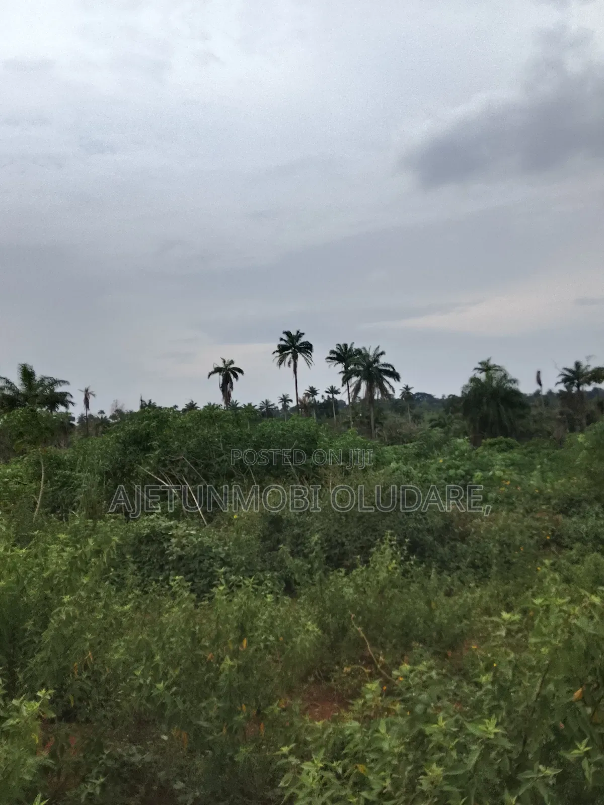 Farm Land and Plots for Sale in Ado Ekiti