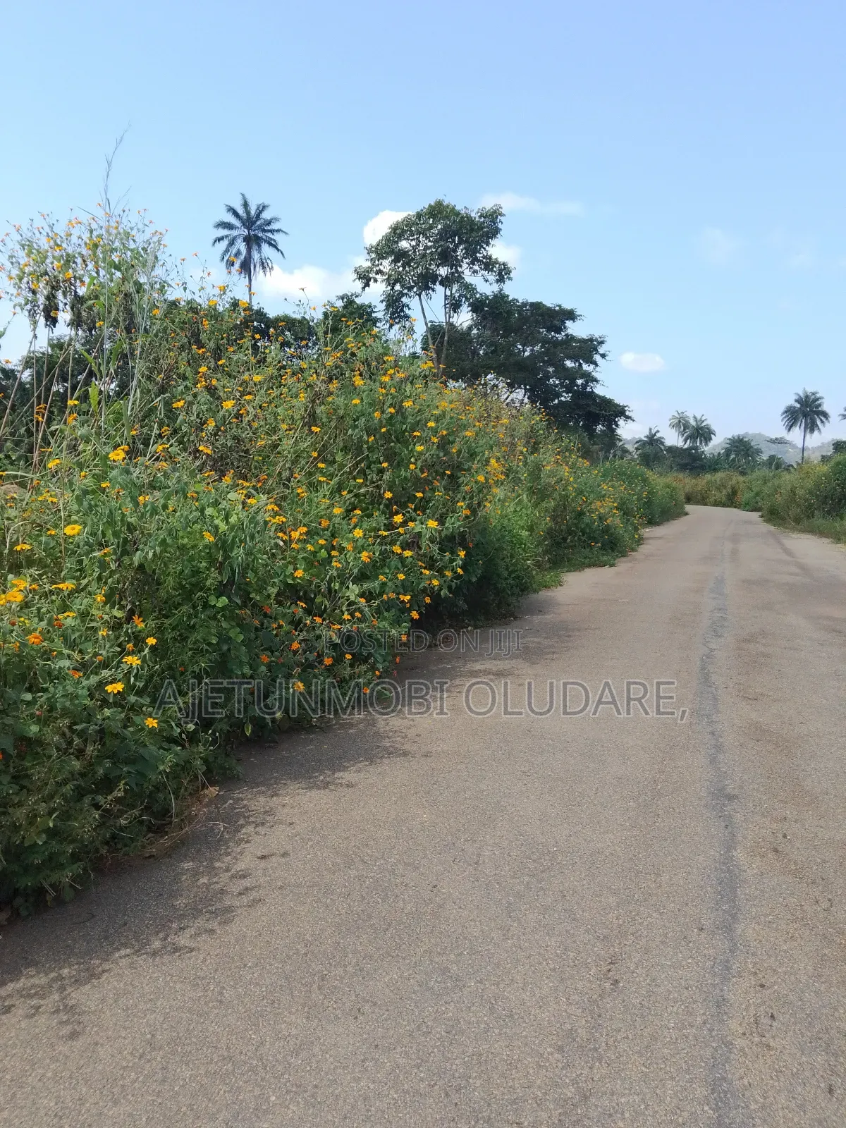 32 Hectares of Farm Land at Ire Ekiti in Ado Ekiti
