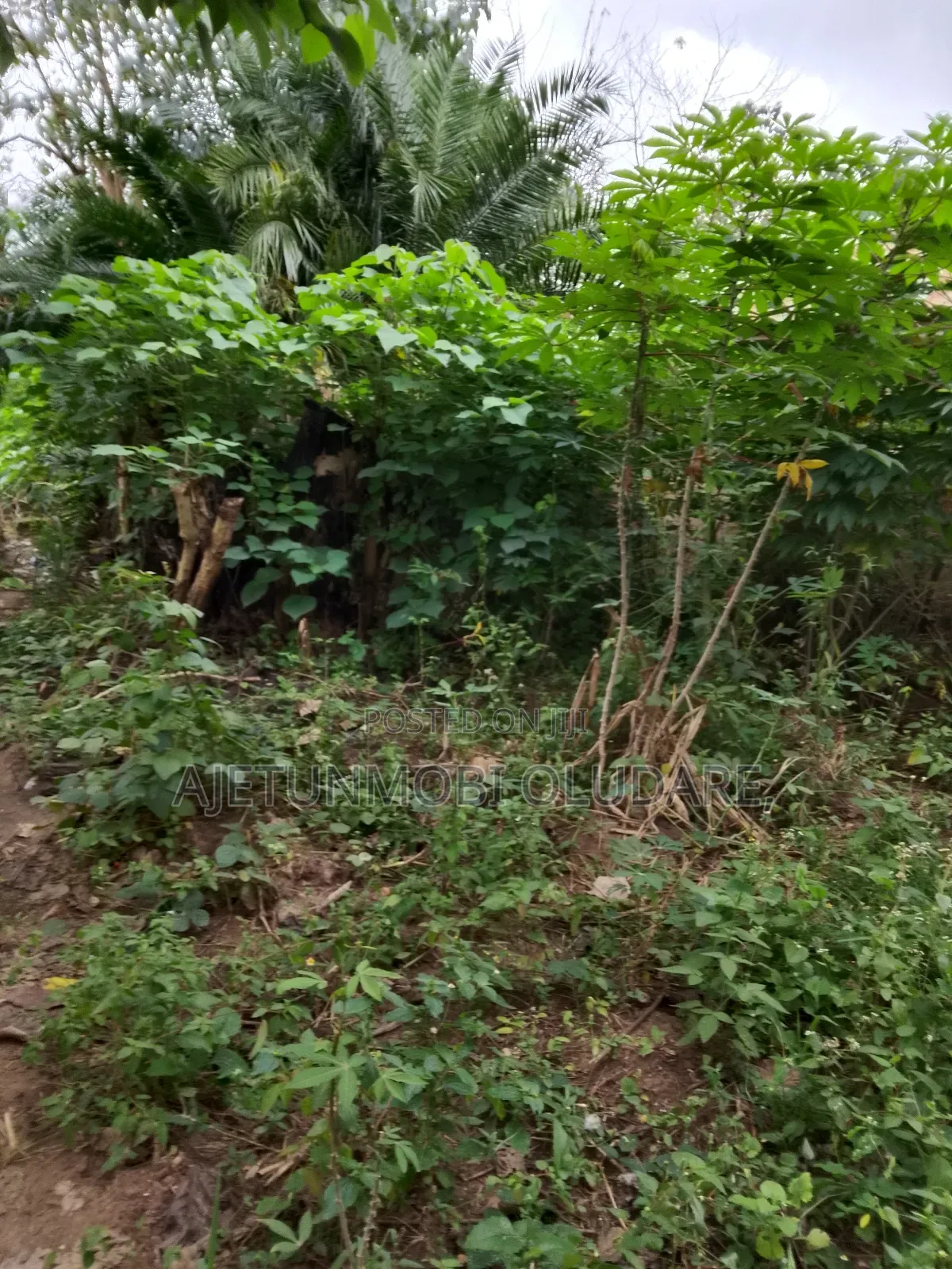 2 Confirmed Plots of Land for Sale in Ado Ekiti