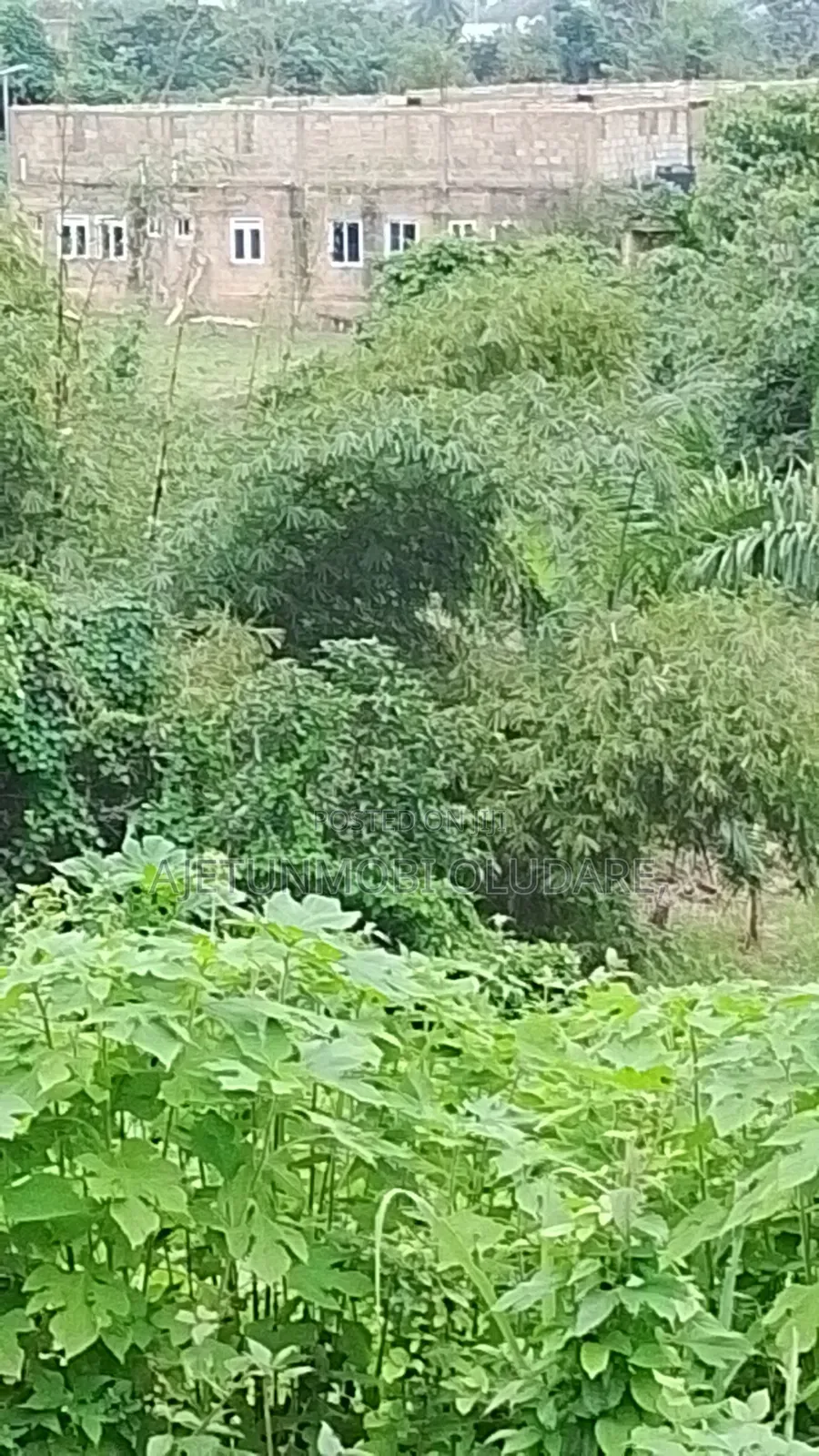 2 Confirmed Plots of Land for Sale in Ado Ekiti
