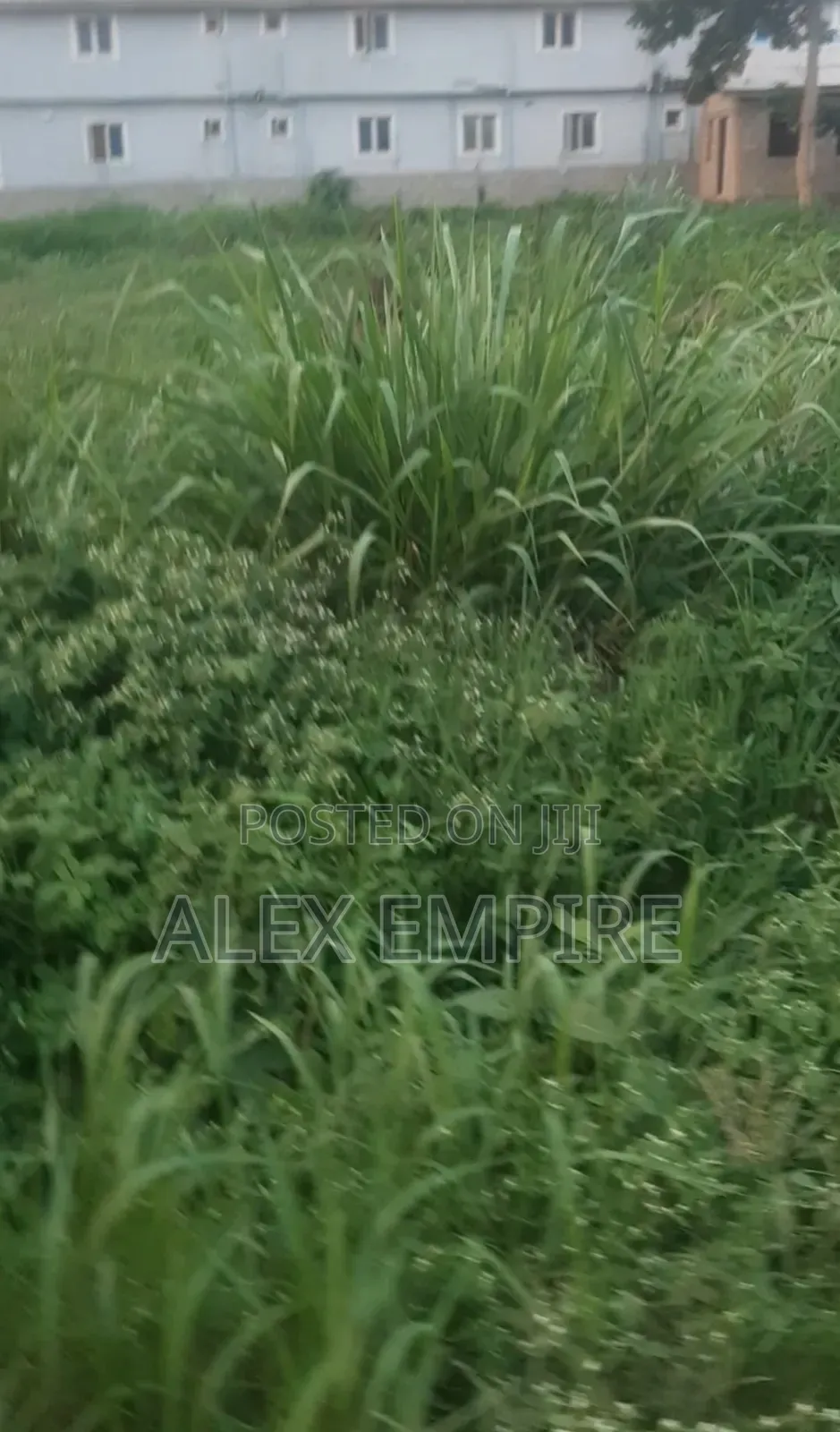 Half Plot of Land for Sale in Liasu Road in Alimosho