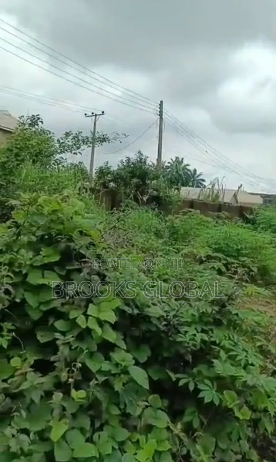 A Land of 100/100 Close 2 First Johnny Egbaen, Isiohor in Benin City