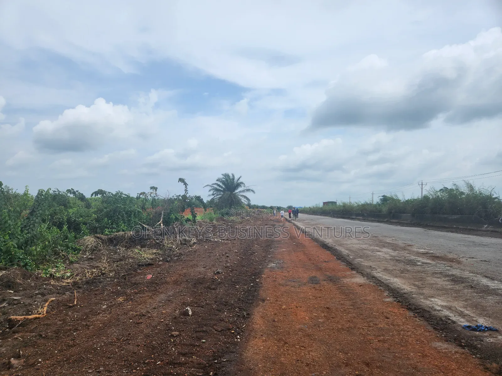 255 Acres of Industrial Land at Odogbolu Road.Ogun State in Odogbolu