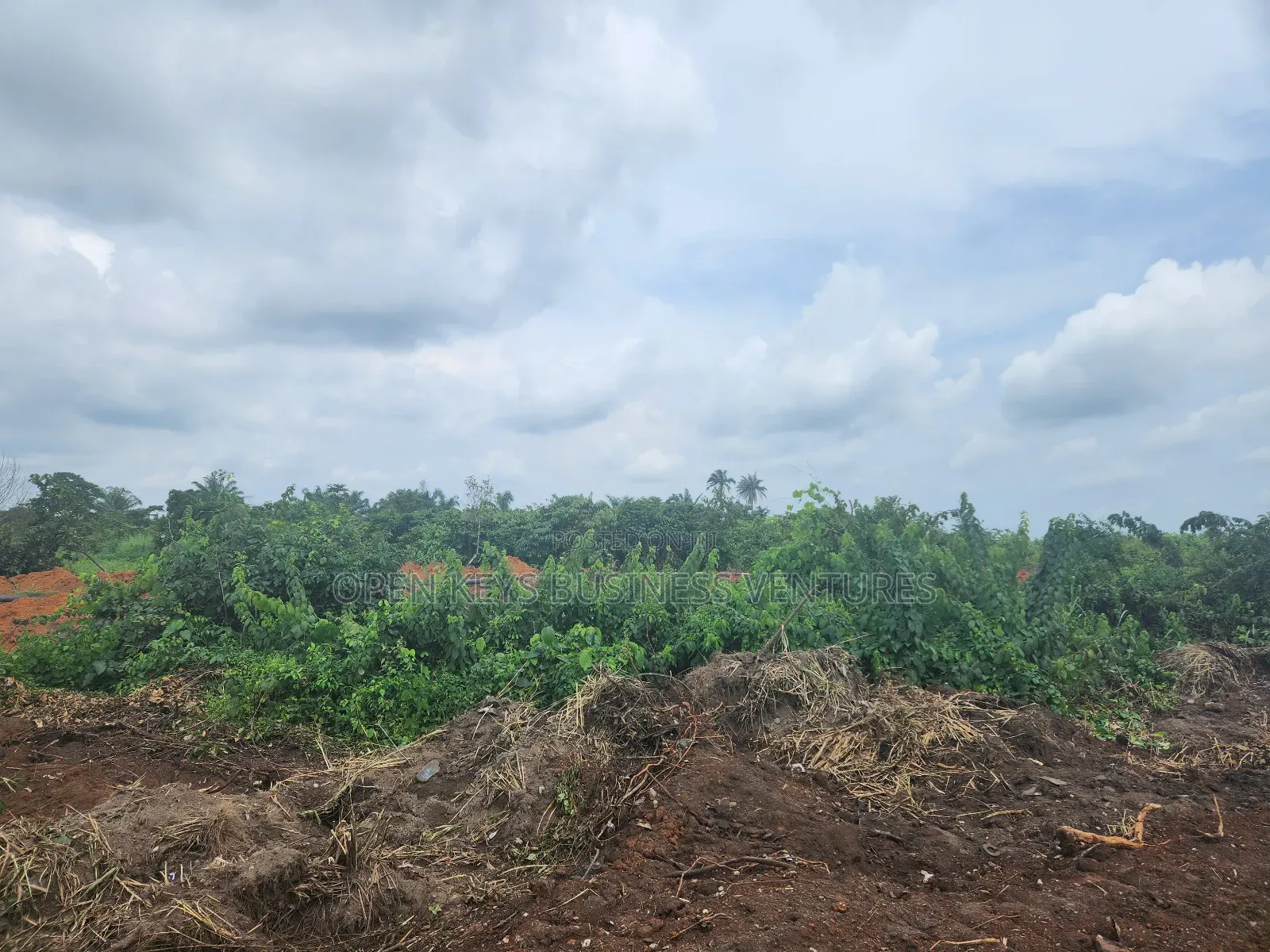 255 Acres of Industrial Land at Odogbolu Road.Ogun State in Odogbolu