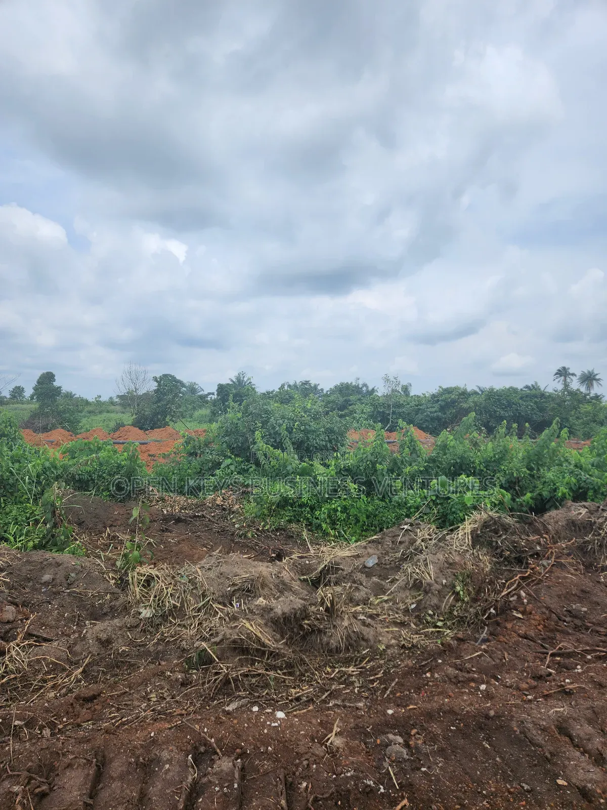 255 Acres of Industrial Land at Odogbolu Road.Ogun State in Odogbolu