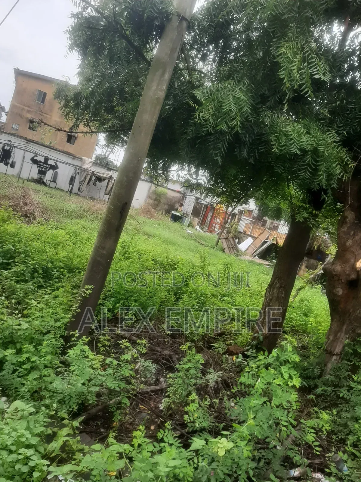 Land for Sale in Amuwo Close to Shoprite in Amuwo-Odofin