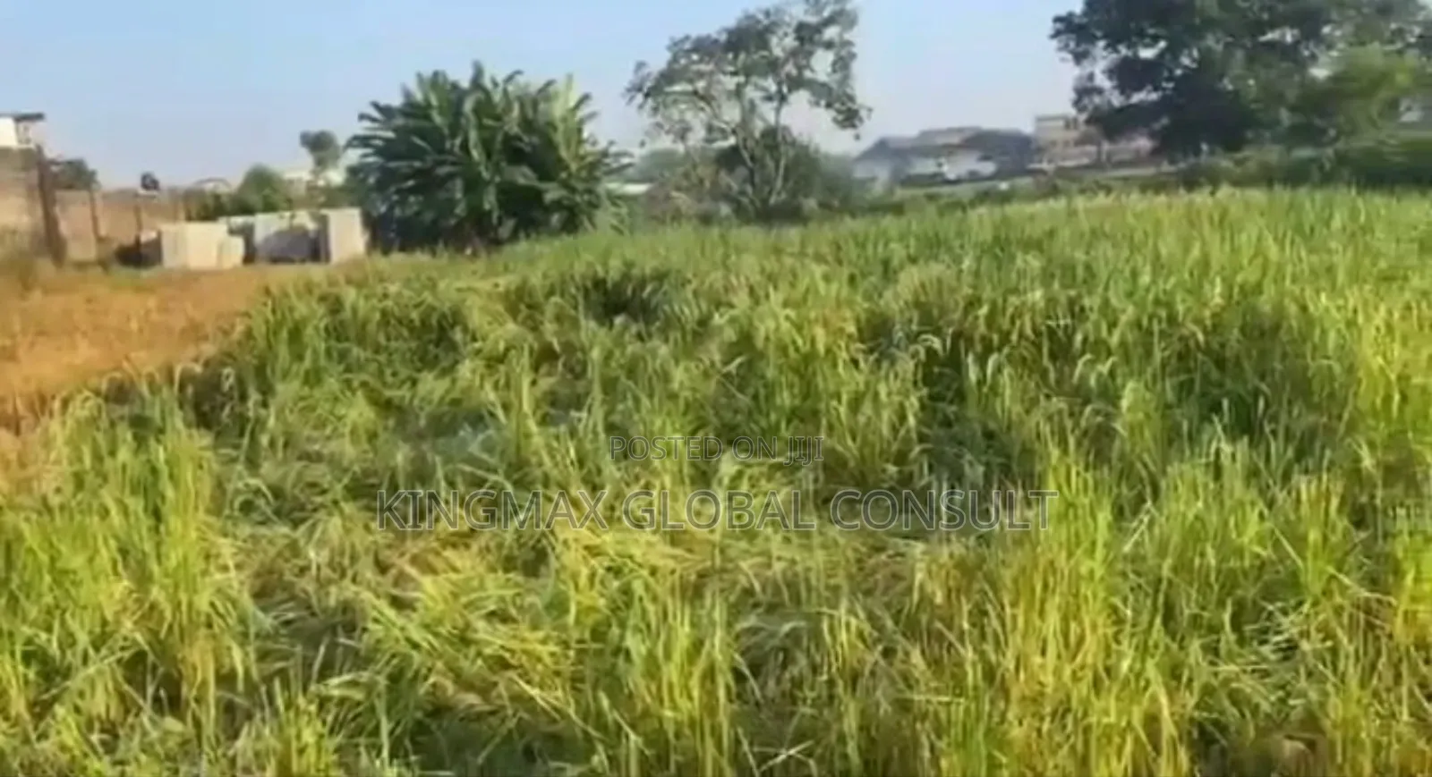 Out in the Market, Land for Sale* Land Size: *2018 Sqmtrs* in Wuye