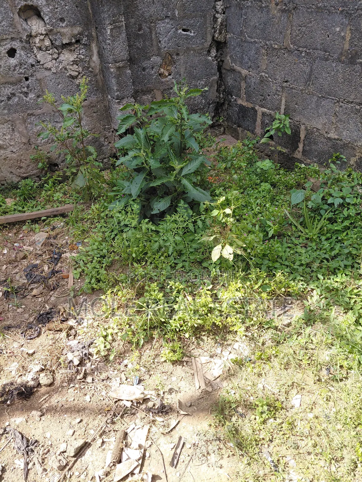Jetty on 9 Plots Kirikiri 4 Sale Waterside Motorable in Kirikiri