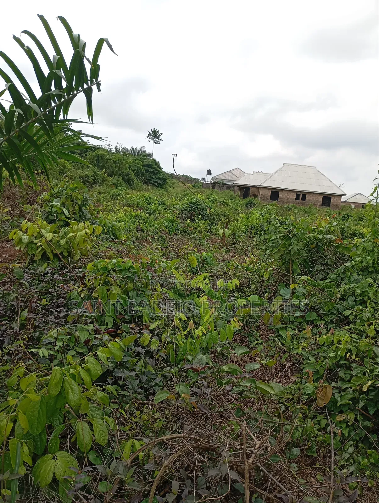 Plot of Land for Sale in Agbowa