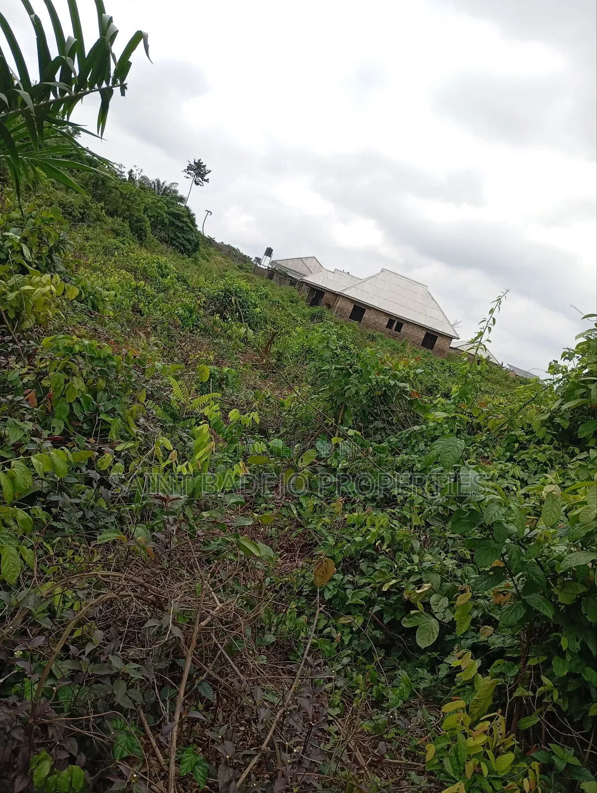 Plot of Land for Sale in Agbowa