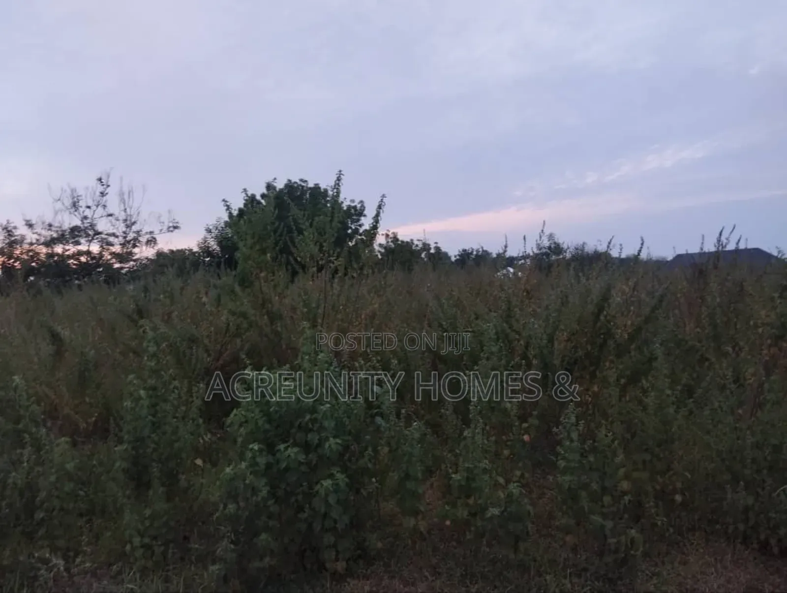 Prime Residential Land in Iseyin