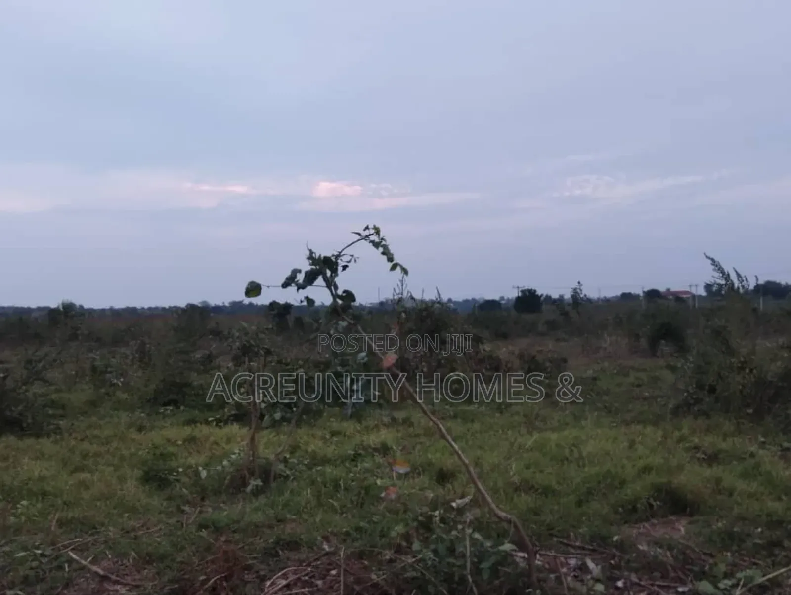 3 Acres Of Farmland For Sale – Km 5, Iseyin–Ogbomoso Road, Oyo State in Iseyin