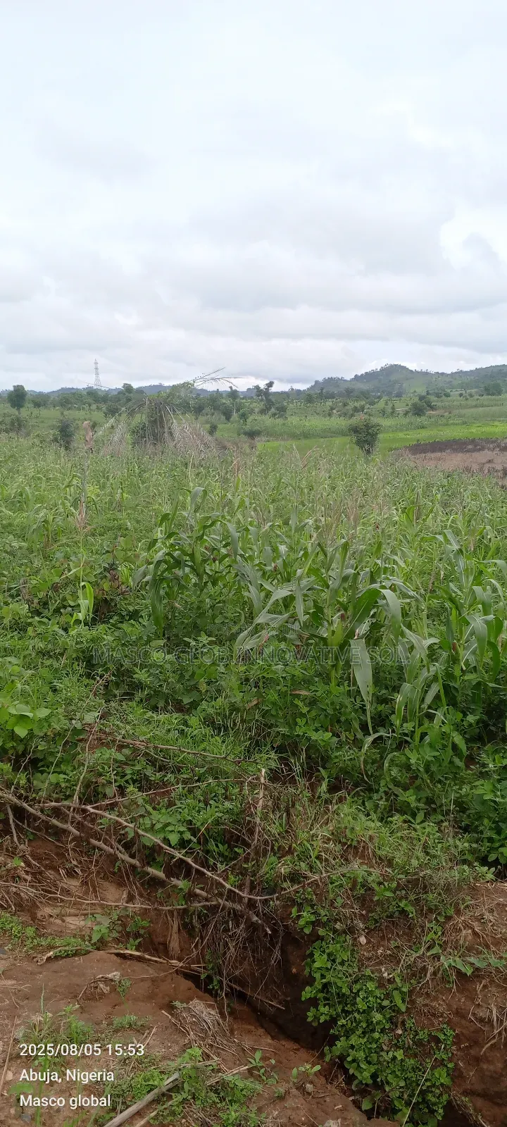 84 Hectare Farm Land for Sale in Kuje, Abuja in Kuje