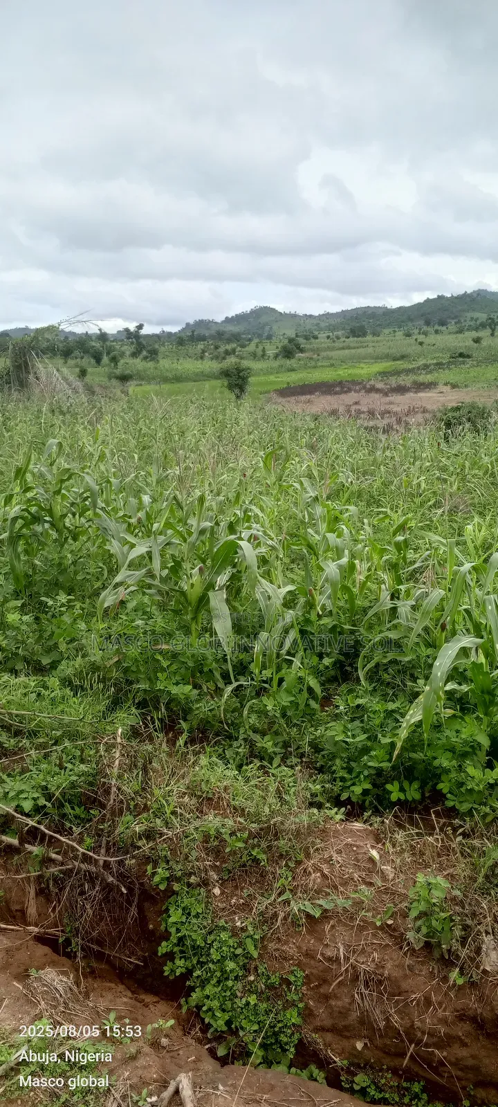 84 Hectare Farm Land for Sale in Kuje, Abuja in Kuje