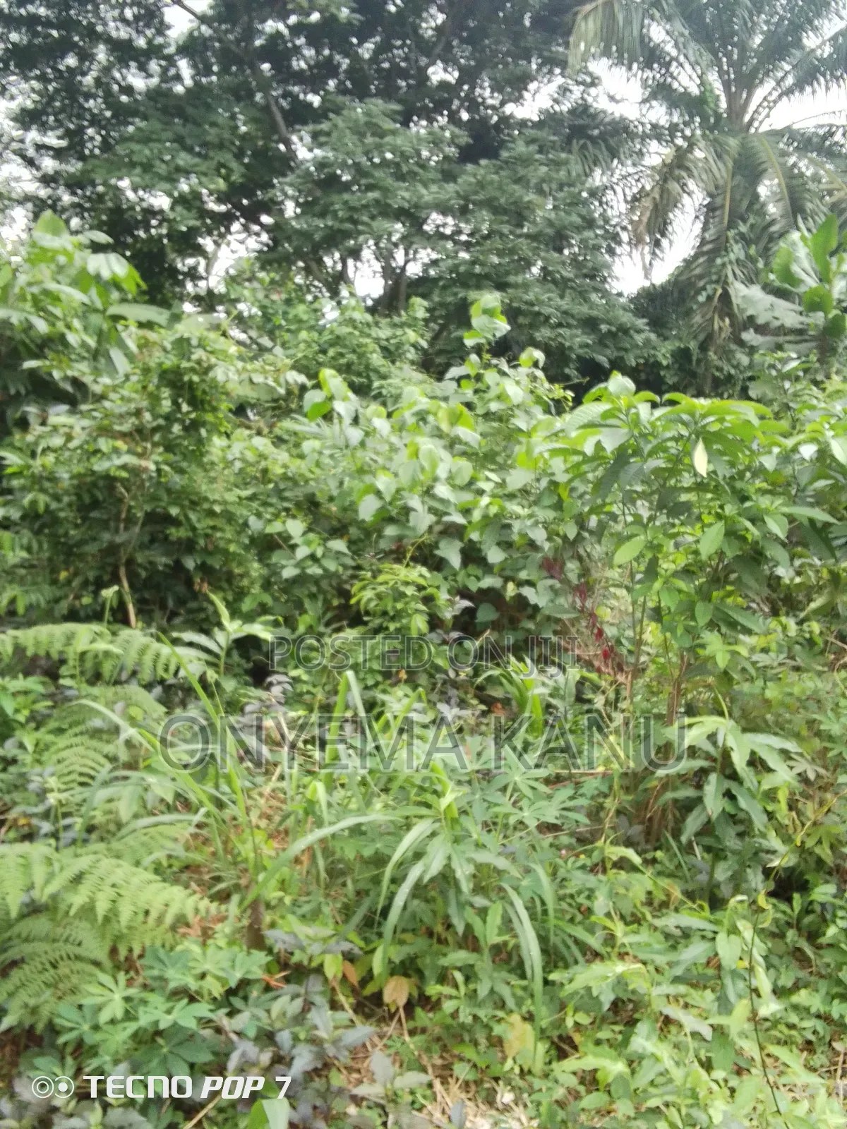 5 Affordable Plots for a Give Out in Ukwa