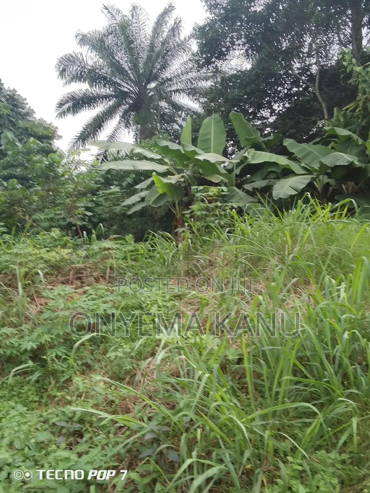 5 Affordable Plots for a Give Out in Ukwa