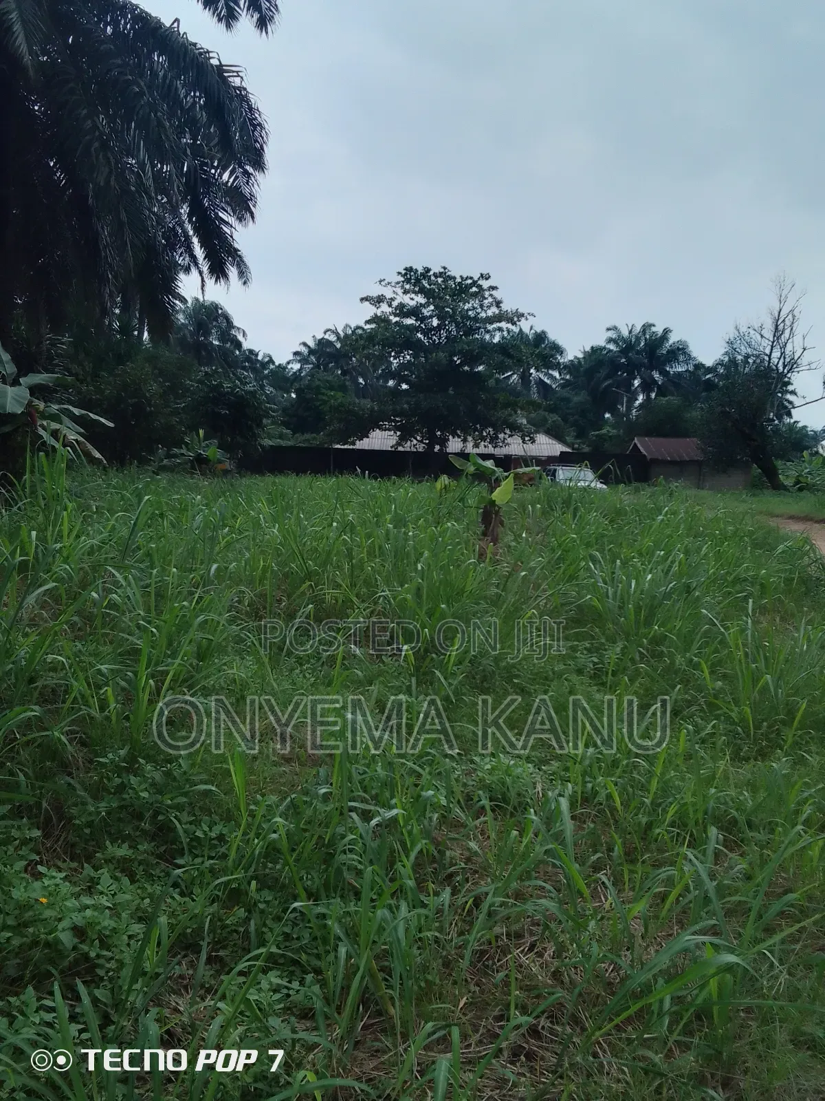 5 Affordable Plots for a Give Out in Ukwa