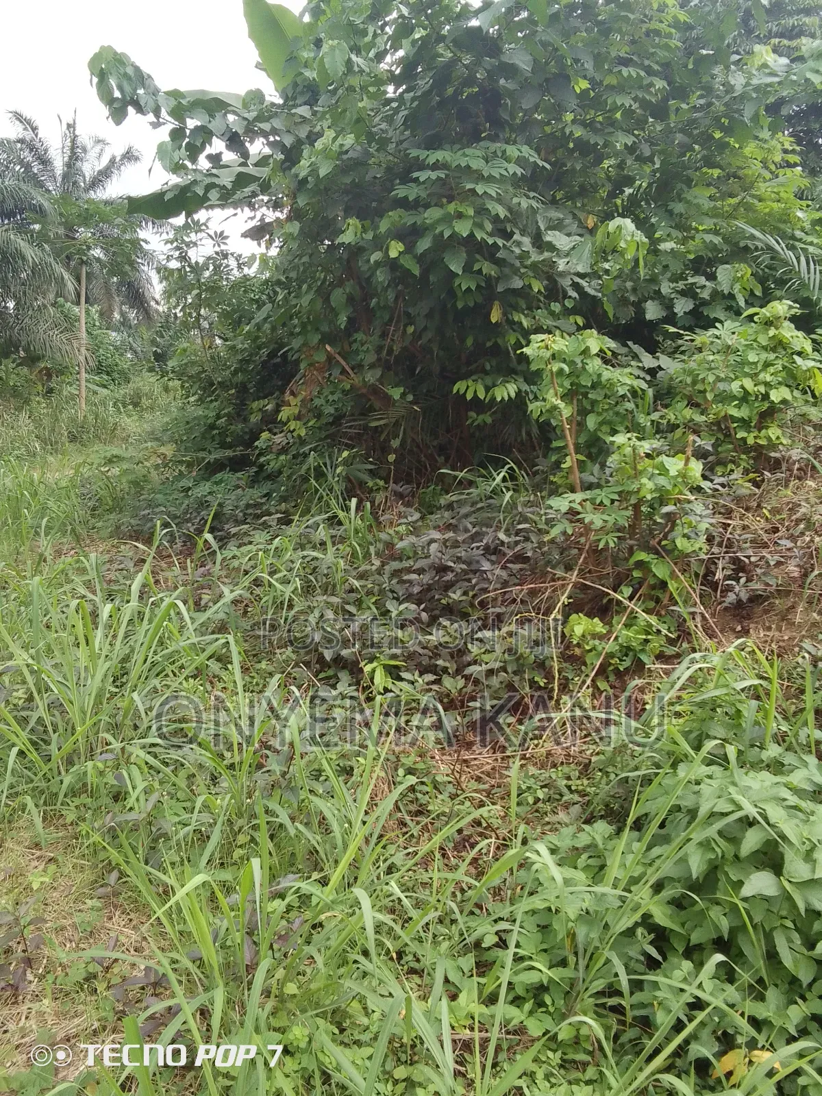 5 Affordable Plots for a Give Out in Ukwa