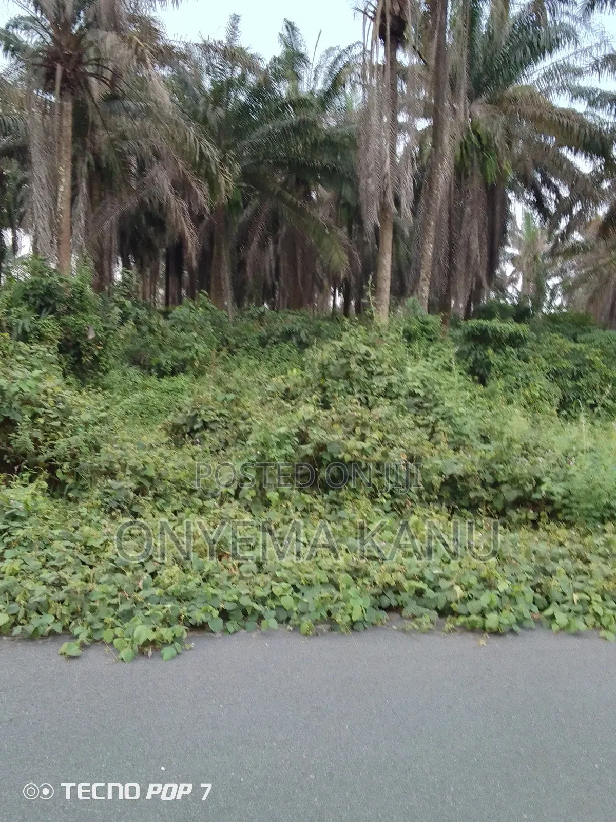 500 Acres for Grab at Owaza. in Ukwa