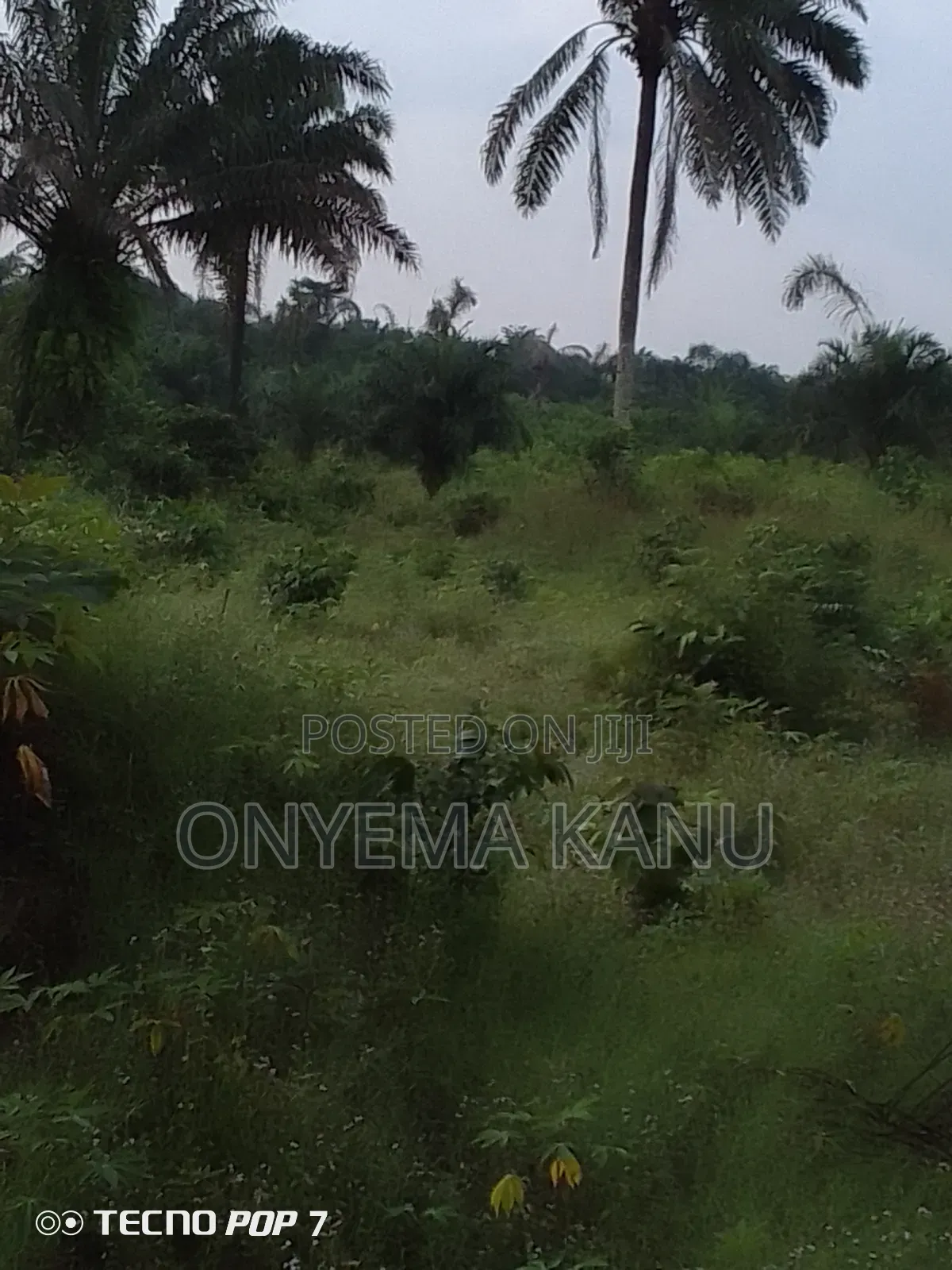 500 Acres for Grab at Owaza. in Ukwa