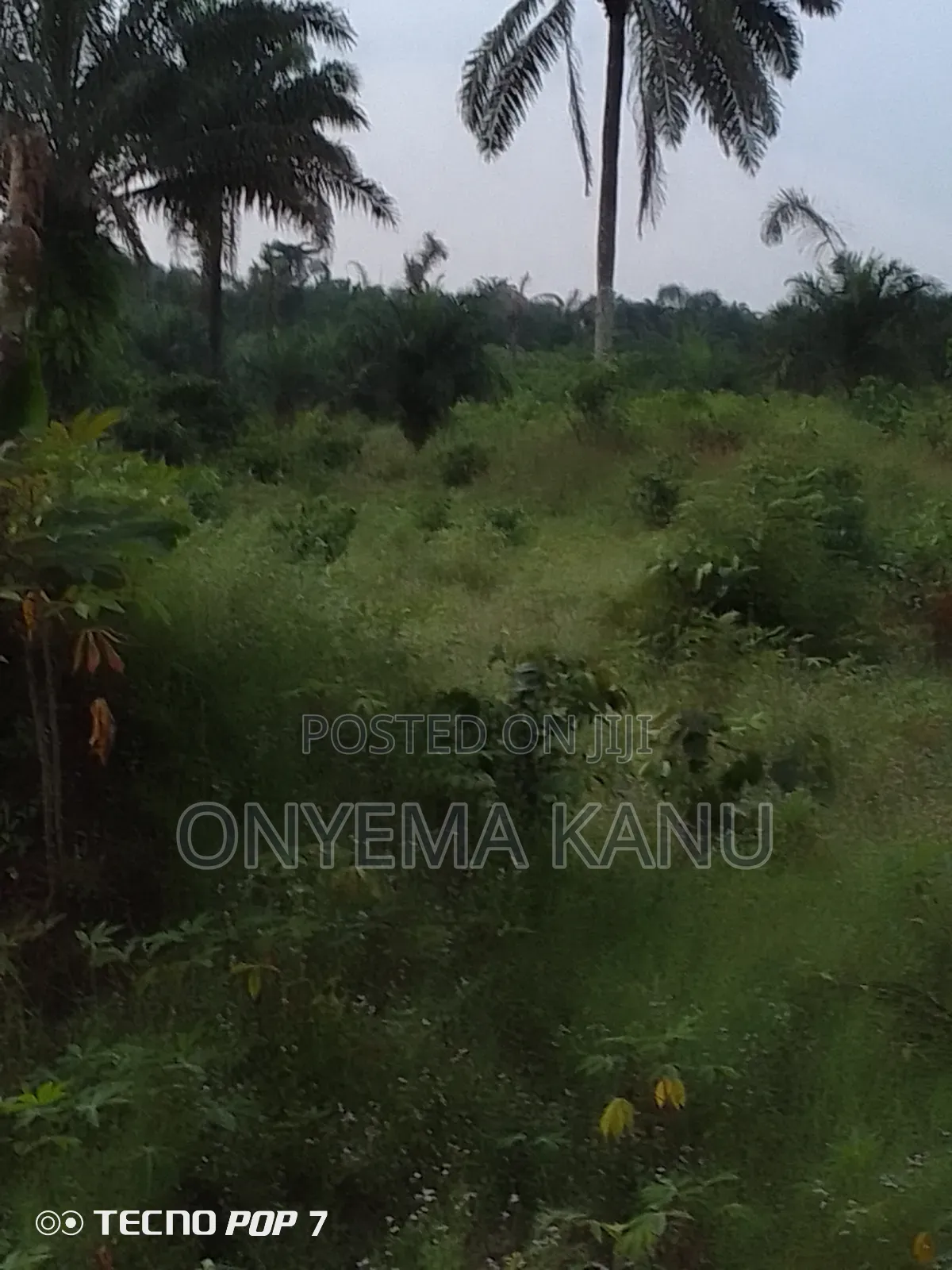 500 Acres for Grab at Owaza. in Ukwa