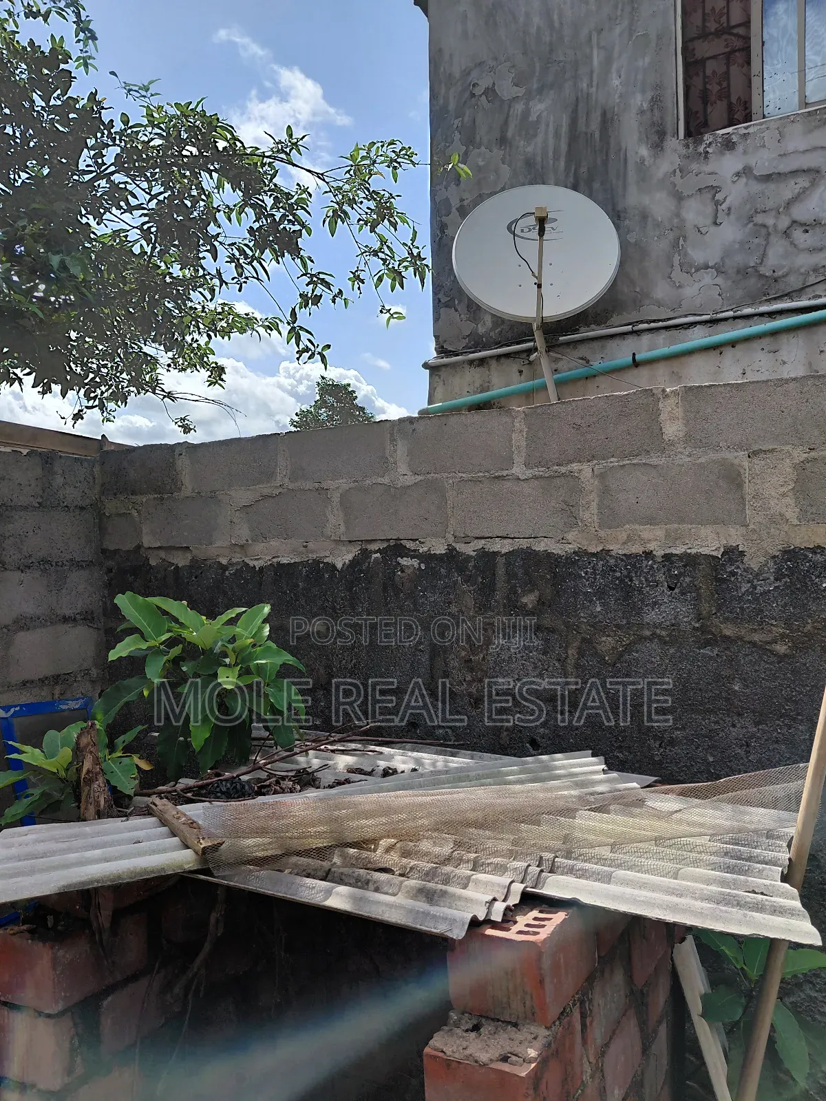 1000 Acers Farm Land 4 Sale Ijabu Igbo With Perimeter Survey in Ijebu