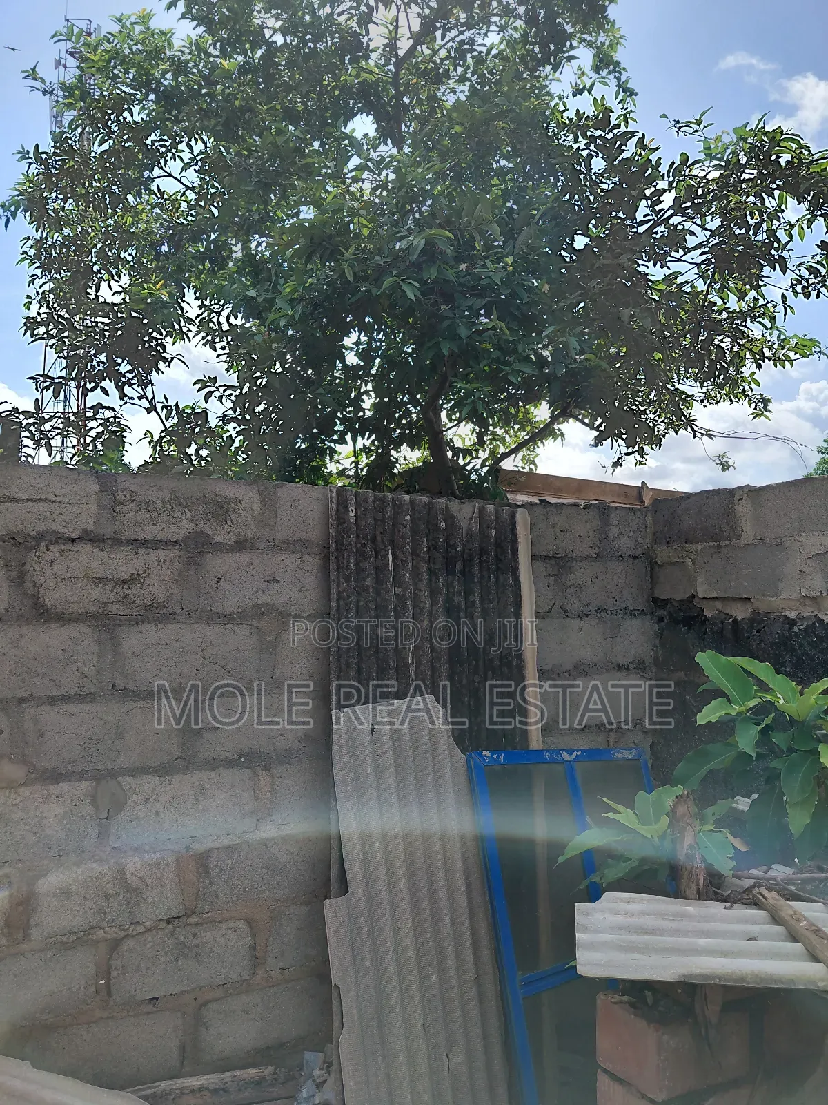 1000 Acers Farm Land 4 Sale Ijabu Igbo With Perimeter Survey in Ijebu