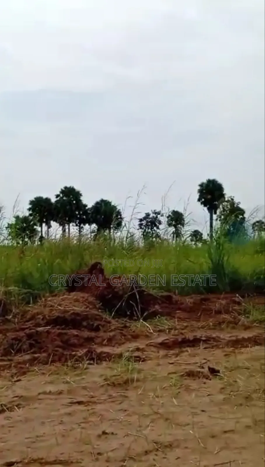 50x100sq, Meter: Land for Sale at Ugbenu Awka. in Awka