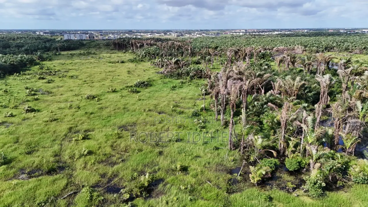 A Juicy Land Offer in Eleko