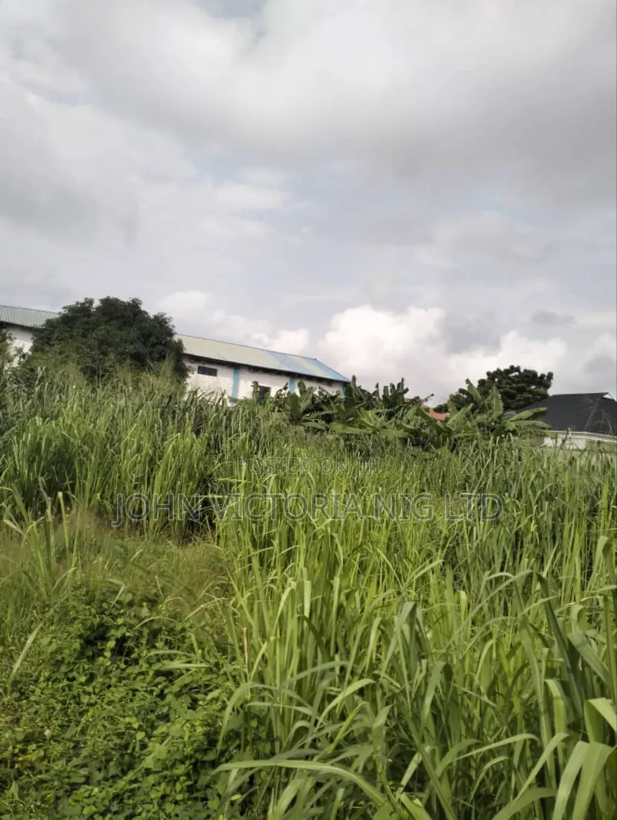 Receipt of Purchase, Deed of Assignment, Register Survey Plan in Egbeda