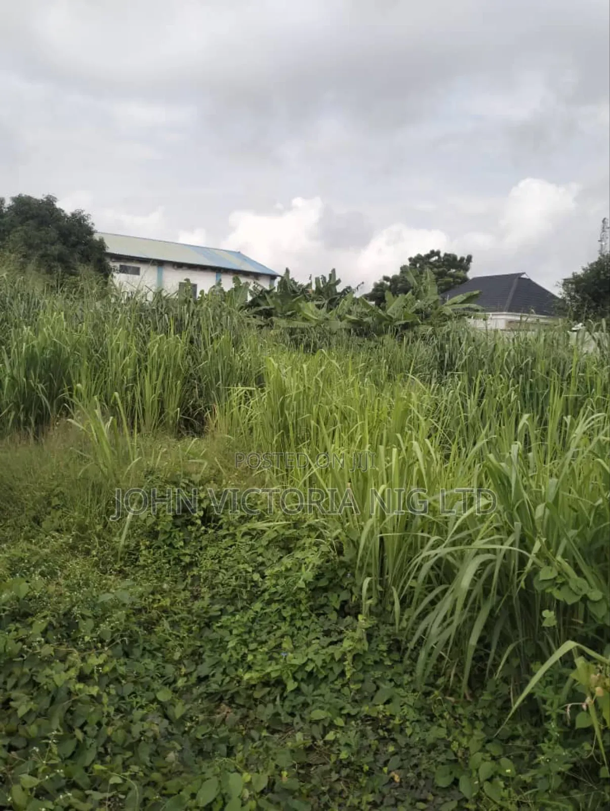 Receipt of Purchase, Deed of Assignment, Register Survey Plan in Egbeda
