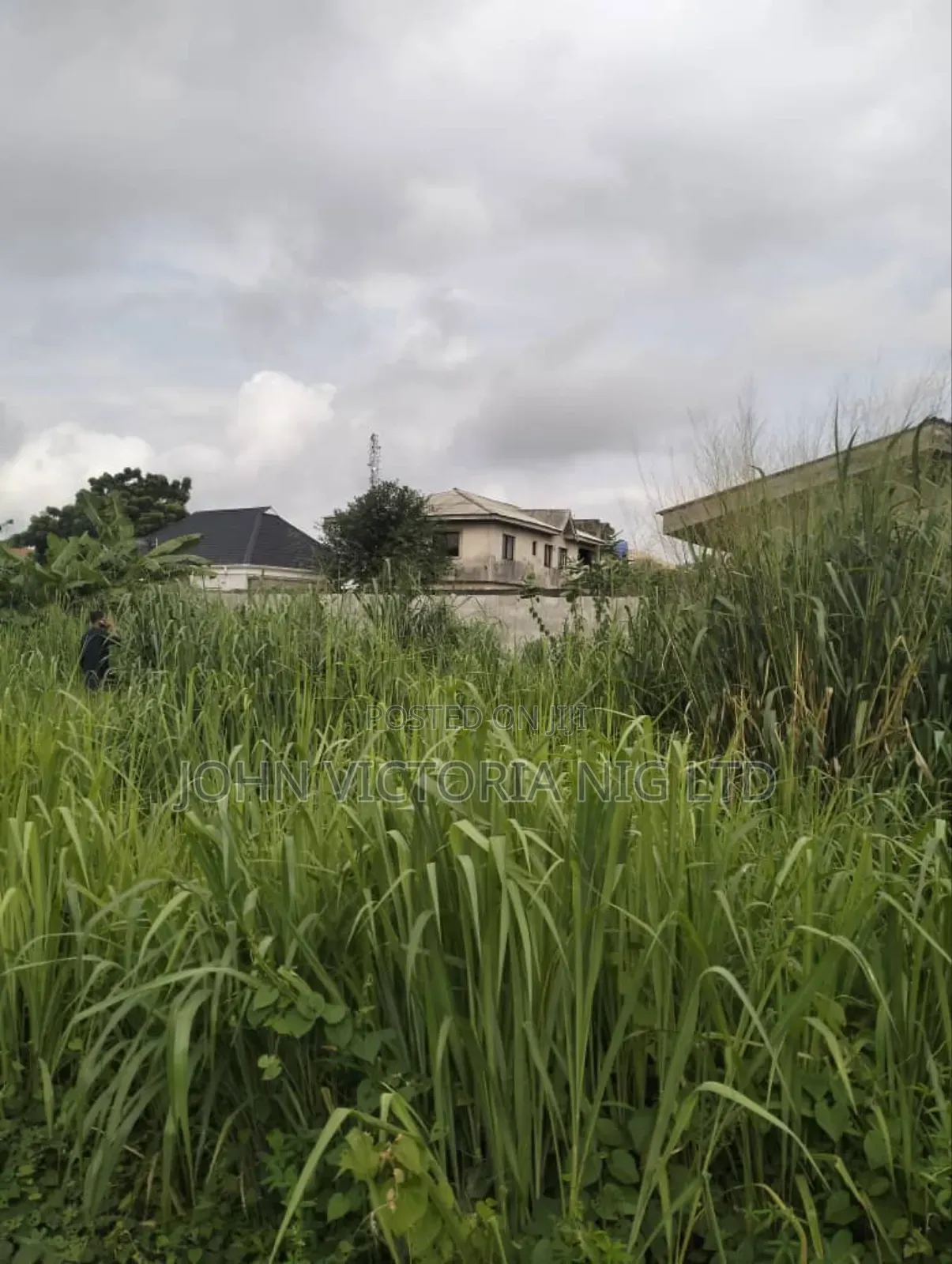 Receipt of Purchase, Deed of Assignment, Register Survey Plan in Egbeda