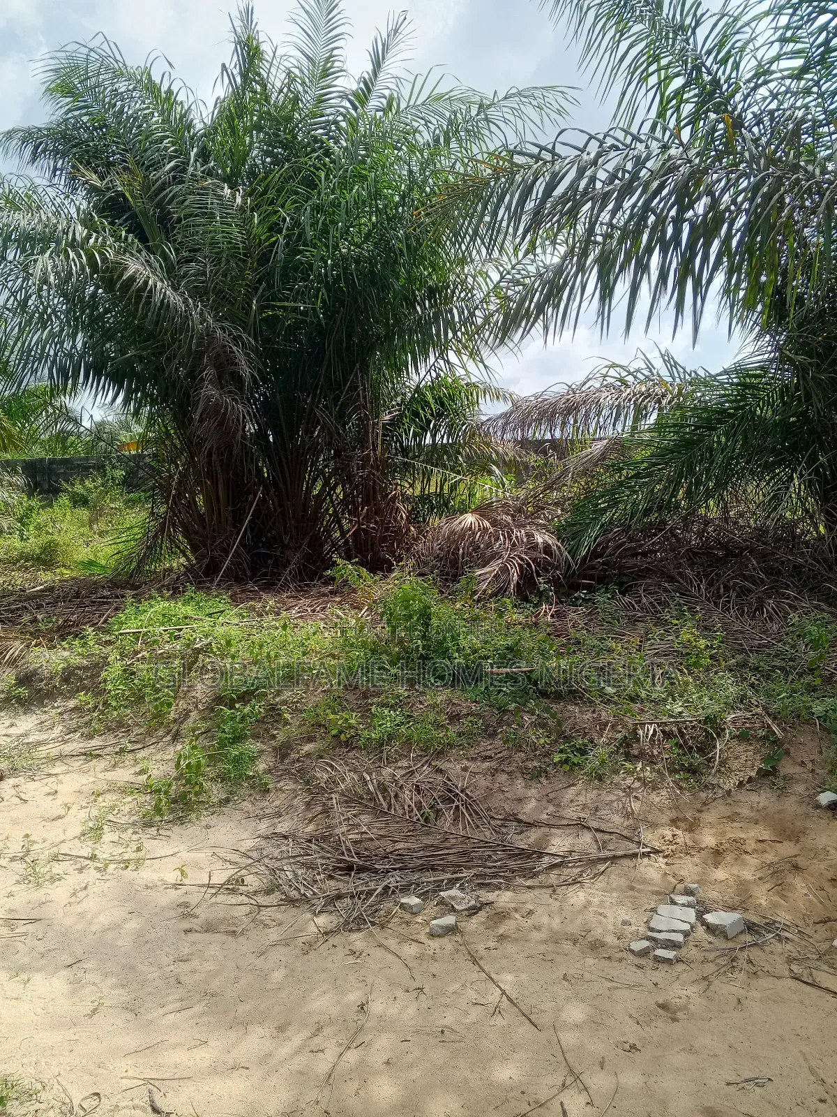 Plots for Sale in Igando-Oloja