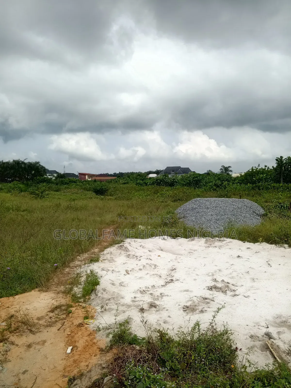 Lads for Sale in Igando-Oloja
