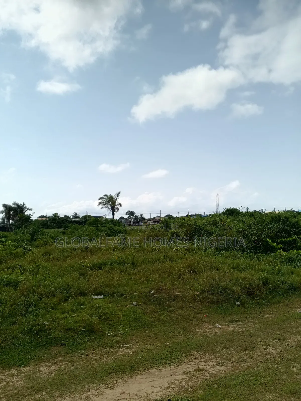 Lads for Sale in Igando-Oloja