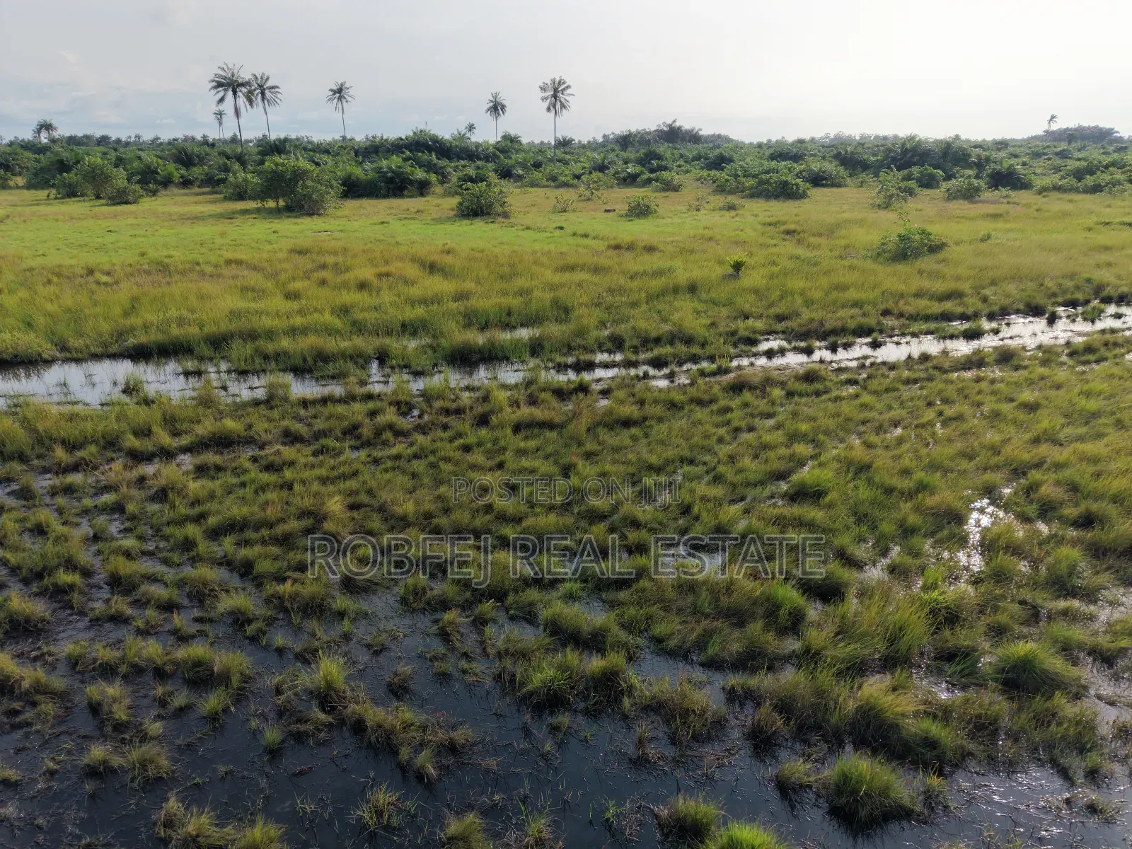 Ibeju Lekki Goldmine in Eleko