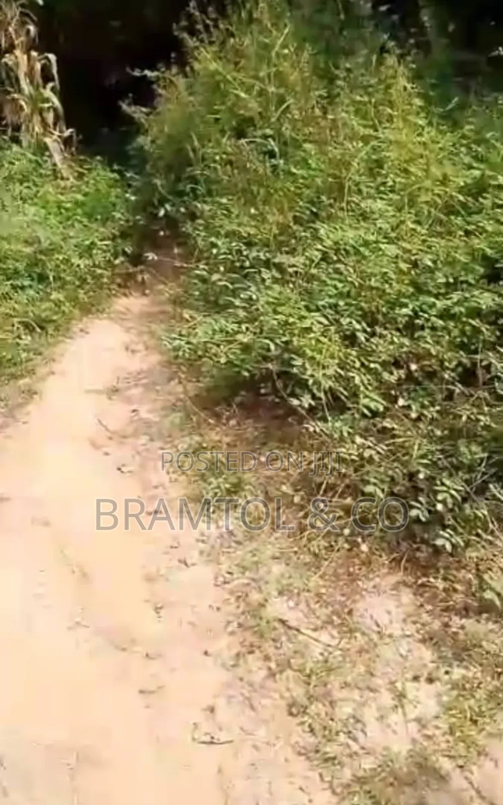 Residential Rofo 700sqm in Katampe in Katampe (Main)